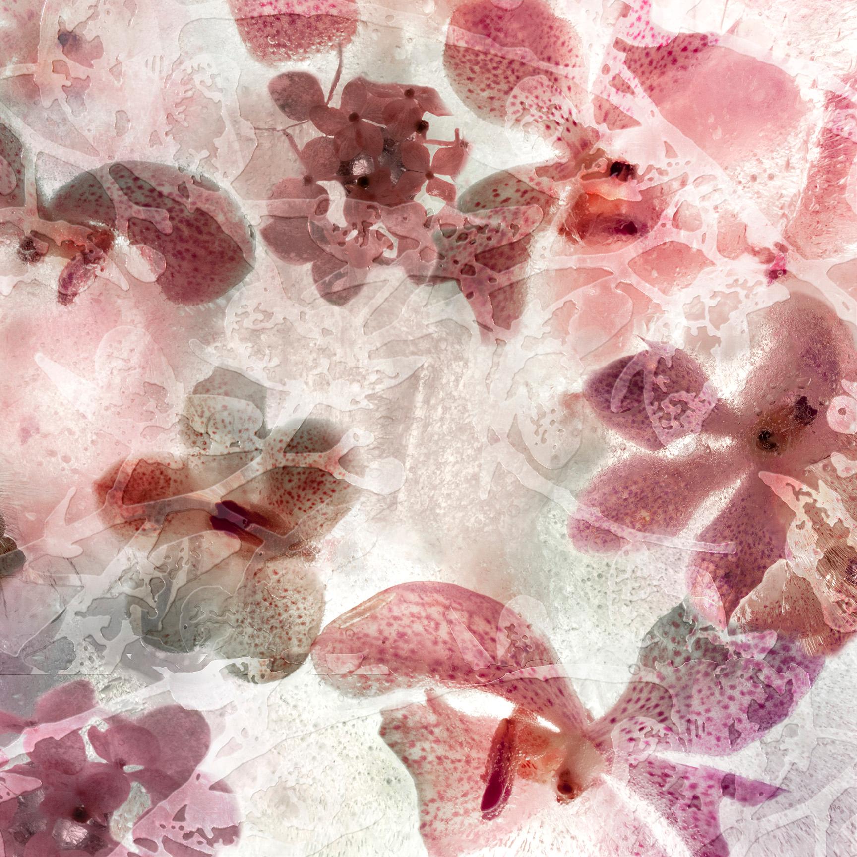 Still-Life Photograph de Aziz + Cucher - Fleurice M1