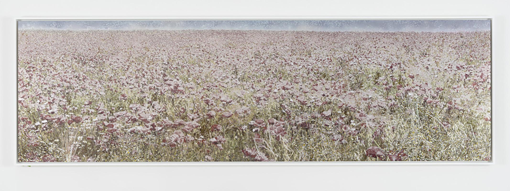 Scenapse Field 11 - landscape, photography, print, metallic paper, contemporary - Gray Landscape Print by Aziz + Cucher