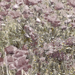 Scenapse Field 11 - landscape, photography, print, metallic paper, contemporary