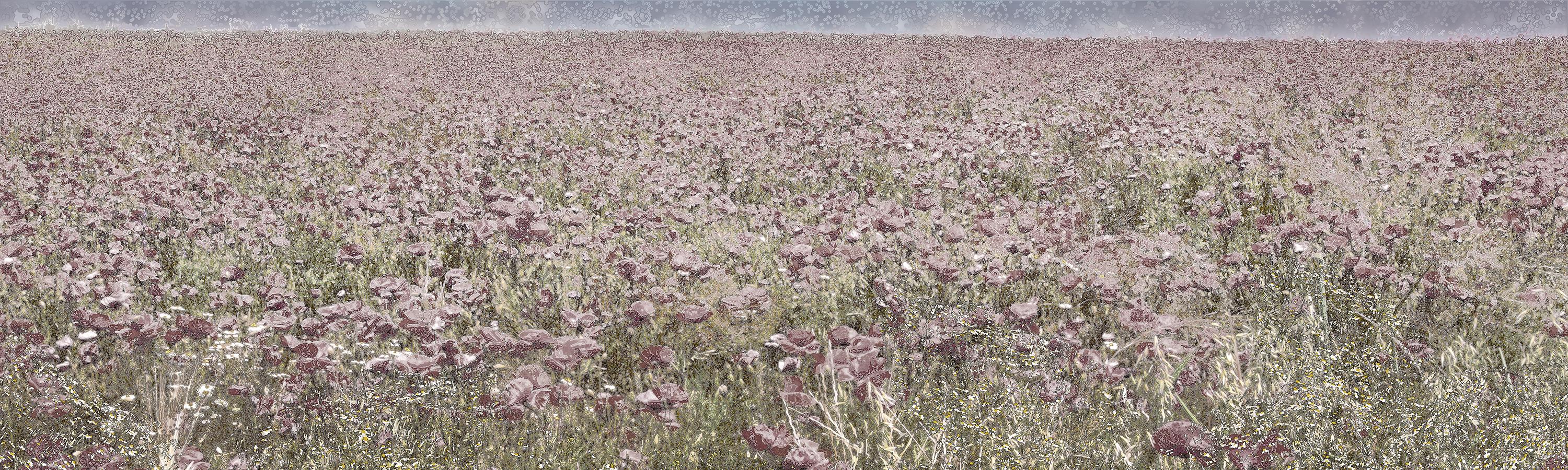 Aziz + Cucher Landscape Print - Scenapse Field 11 - landscape, photography, print, metallic paper, contemporary