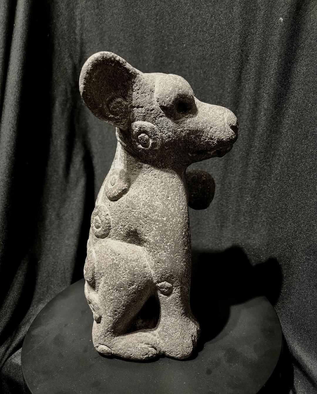 aztec dog art