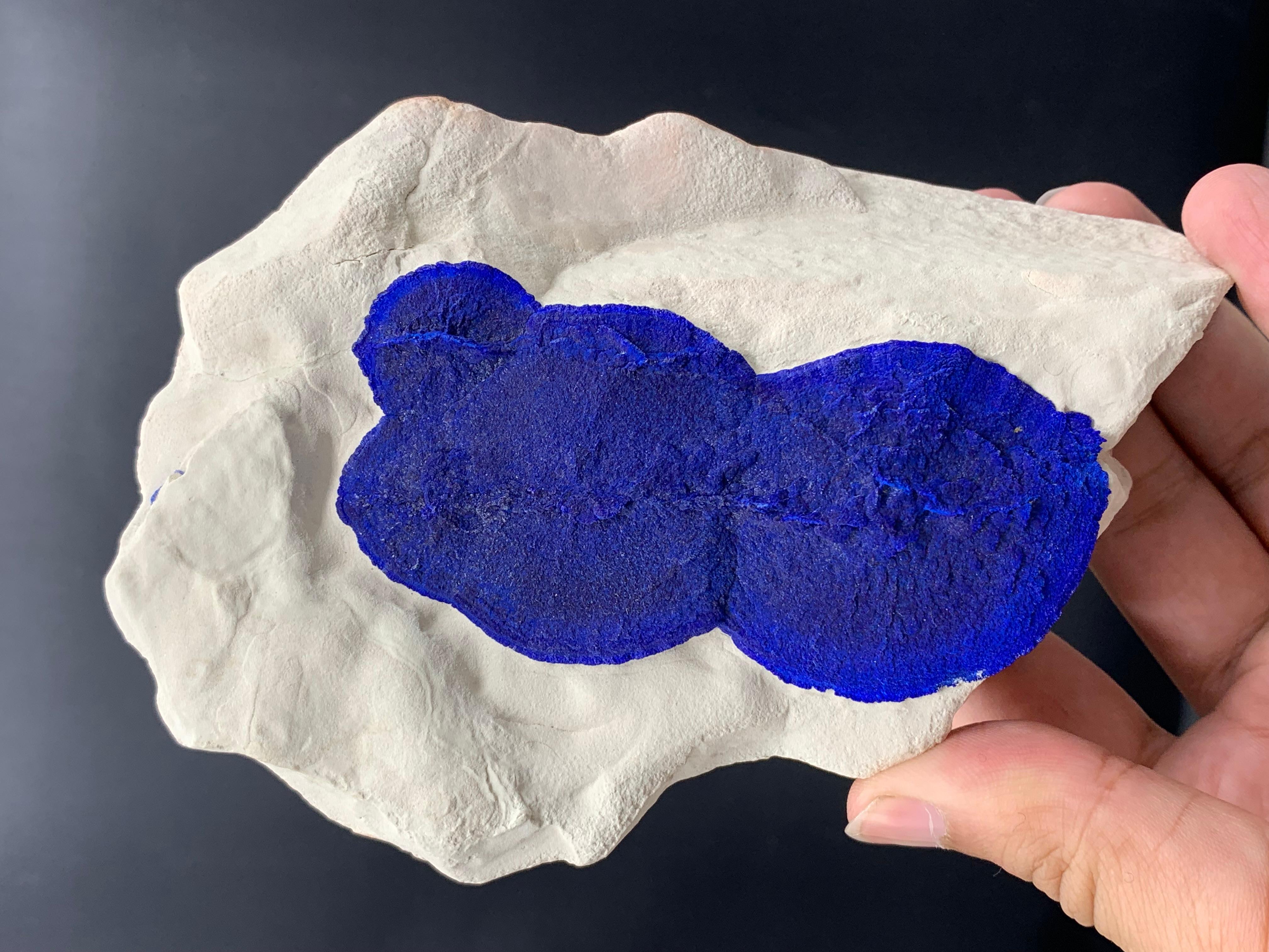 Azure Blue Azurite Sun Crystals On Cremeweiß Kaolinite Matrix aus Australien im Angebot 3