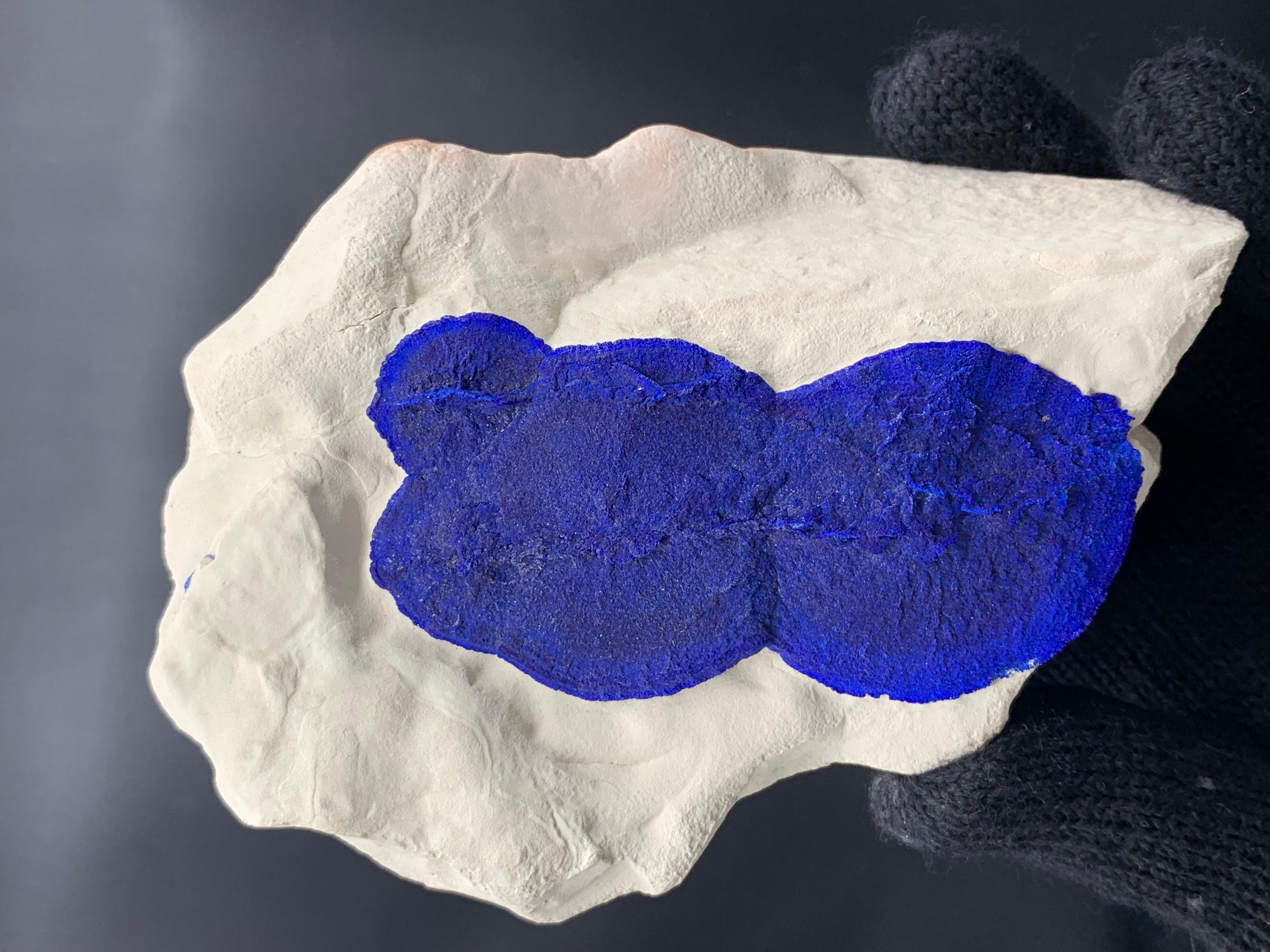 Azure Blue Azurite Sun Crystals On Cremeweiß Kaolinite Matrix aus Australien im Angebot 4