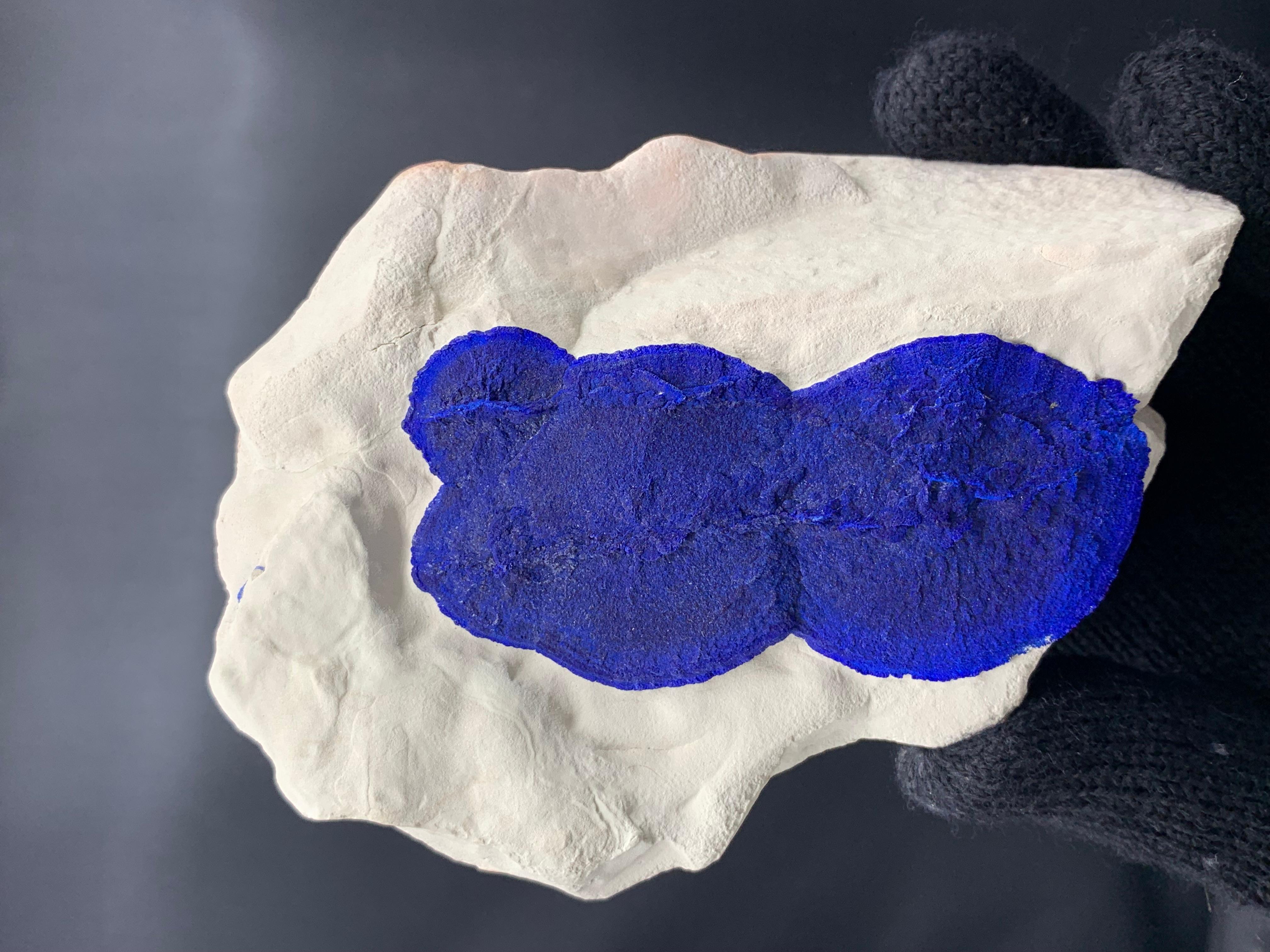 Azure Blue Azurite Sun Crystals On Cremeweiß Kaolinite Matrix aus Australien im Angebot 5