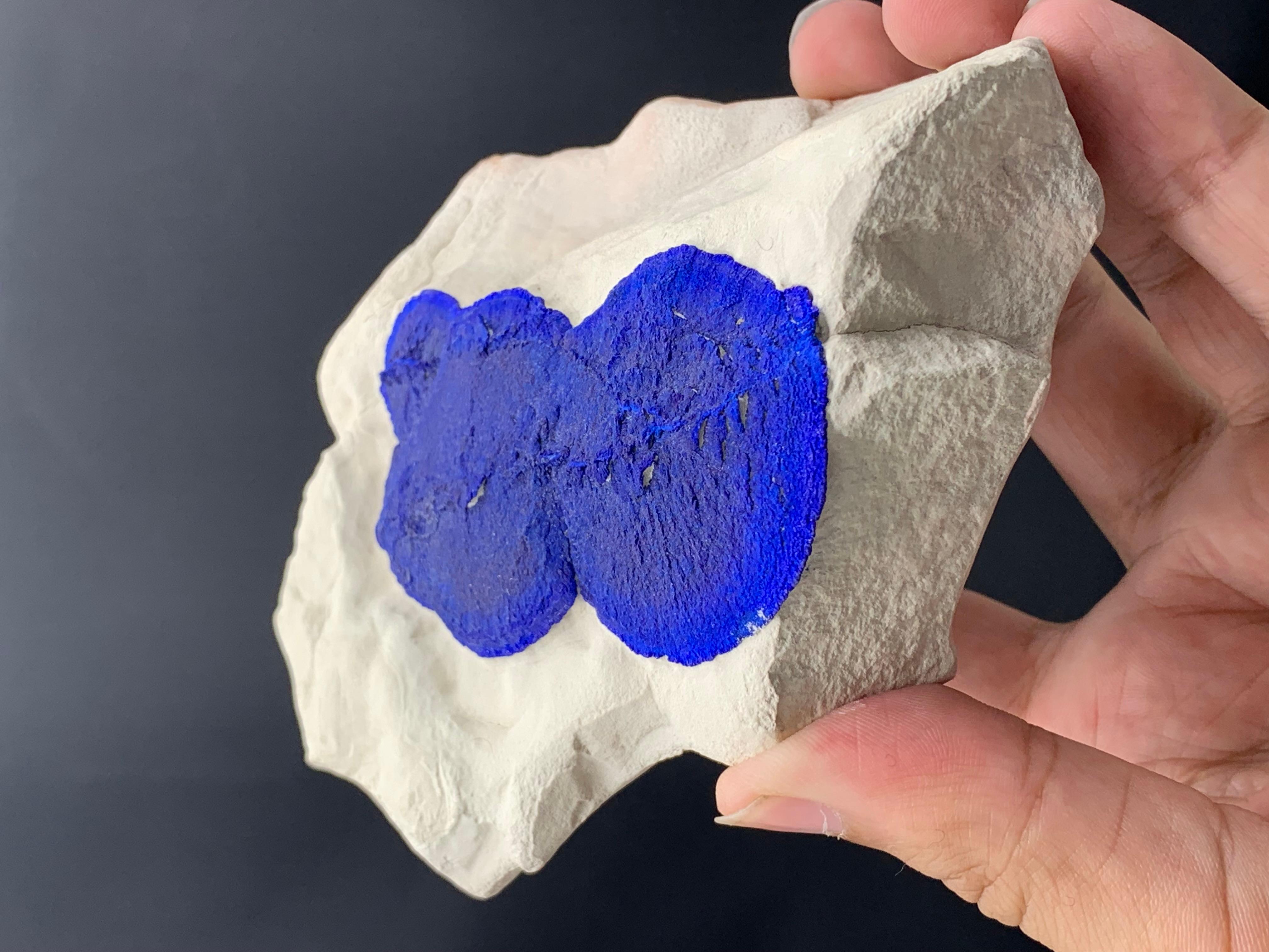 Azure Blue Azurite Sun Crystals On Cremeweiß Kaolinite Matrix aus Australien im Zustand „Gut“ im Angebot in Peshawar, PK