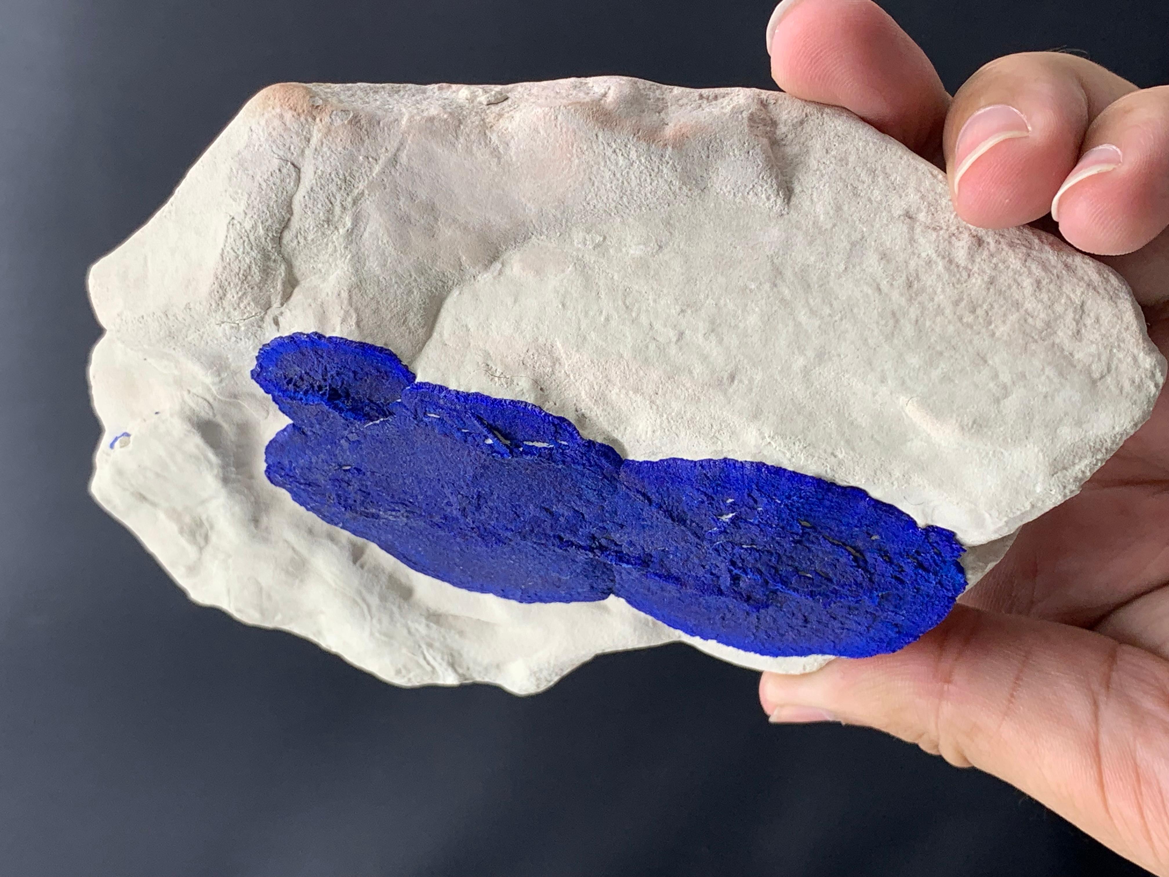 Azure Blue Azurite Sun Crystals On Cremeweiß Kaolinite Matrix aus Australien (21. Jahrhundert und zeitgenössisch) im Angebot
