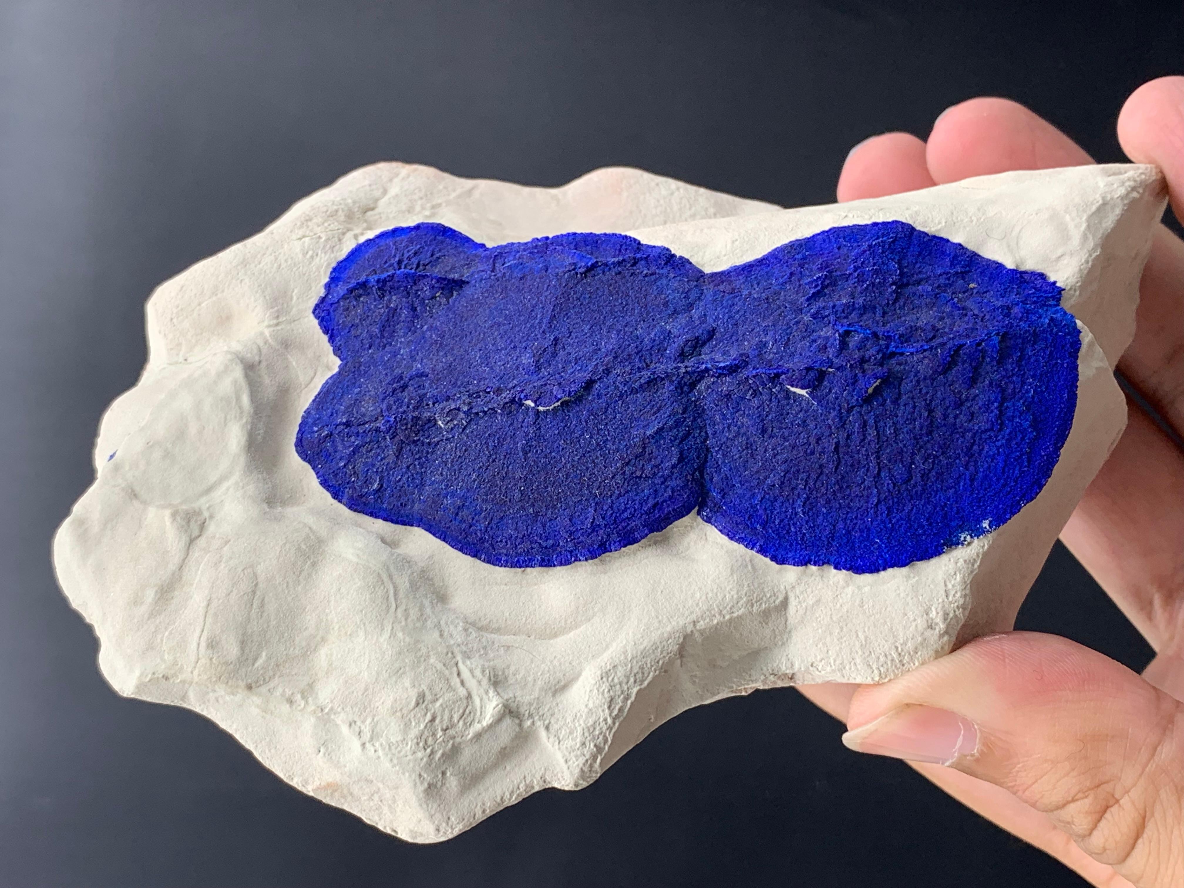 Azure Blue Azurite Sun Crystals On Cremeweiß Kaolinite Matrix aus Australien (Bergkristall) im Angebot