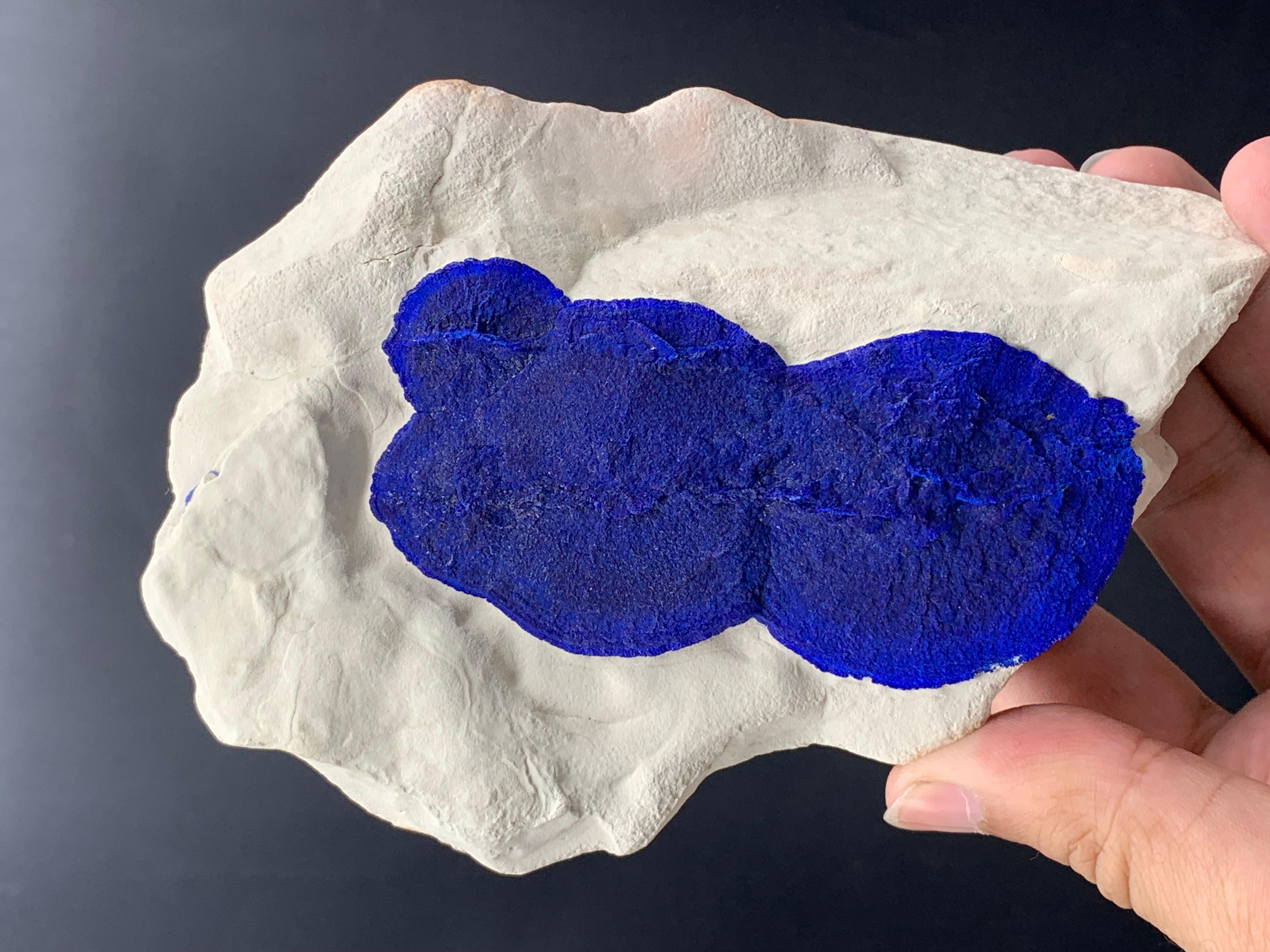 Azure Blue Azurite Sun Crystals On Cremeweiß Kaolinite Matrix aus Australien im Angebot 1