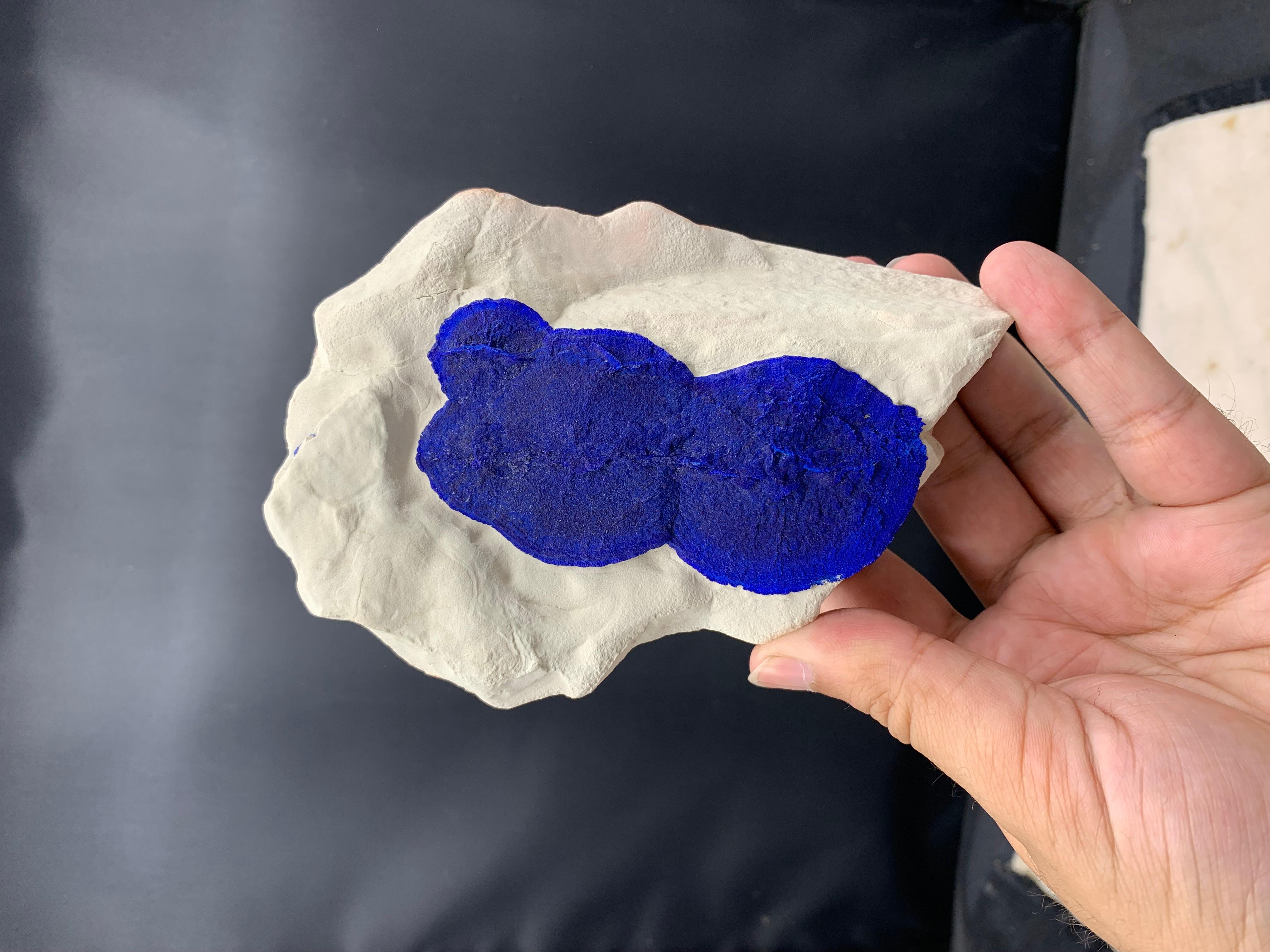 Azure Blue Azurite Sun Crystals On Cremeweiß Kaolinite Matrix aus Australien im Angebot 2