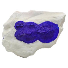 Cristalli di sole azurite blu su matrice di caolinite bianca e cremosa dall'Australia