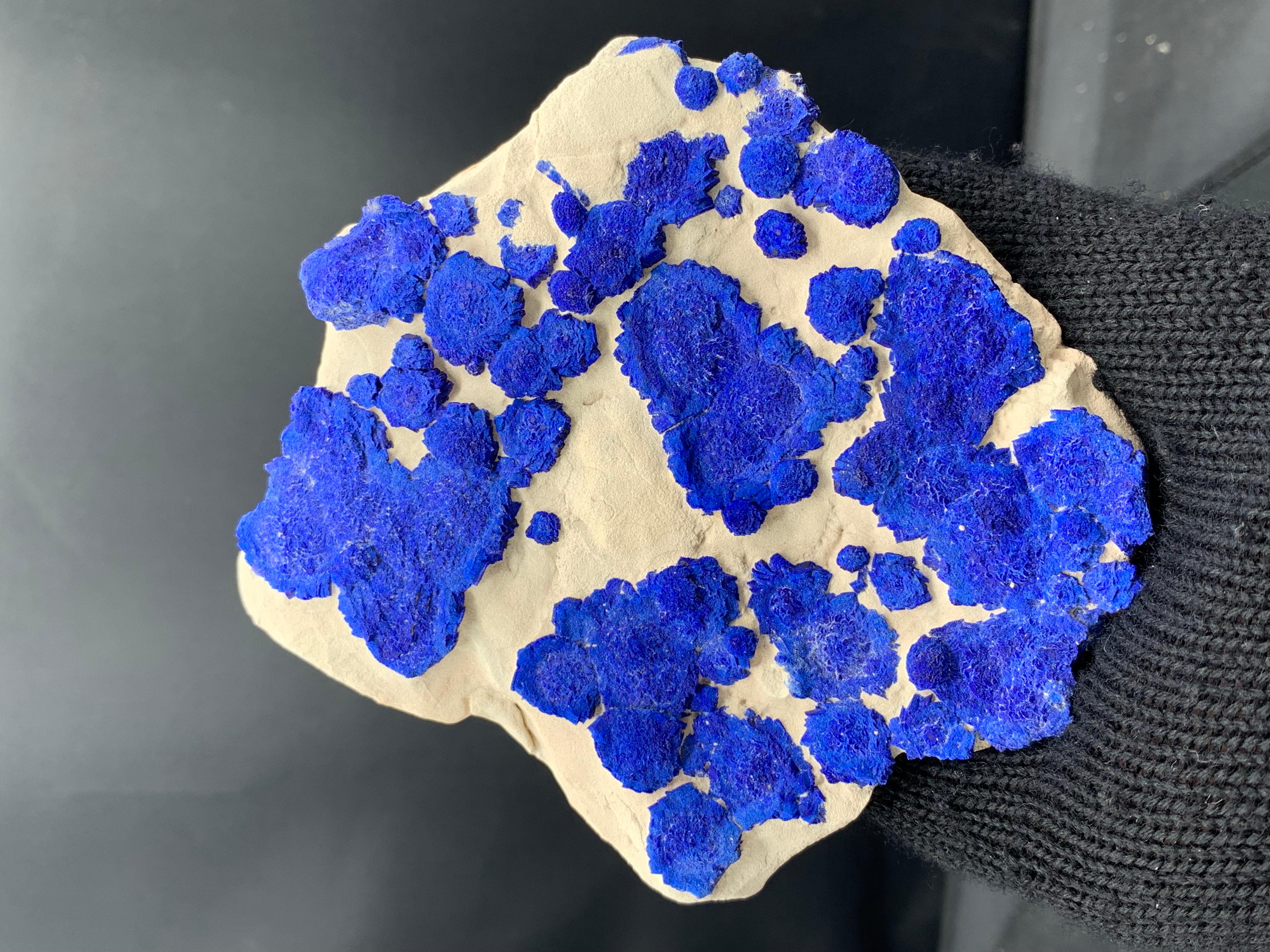 Azure Blue Rosettes Of Azurite Sun Crystals On Kaolinite Matrix From Australia For Sale 4