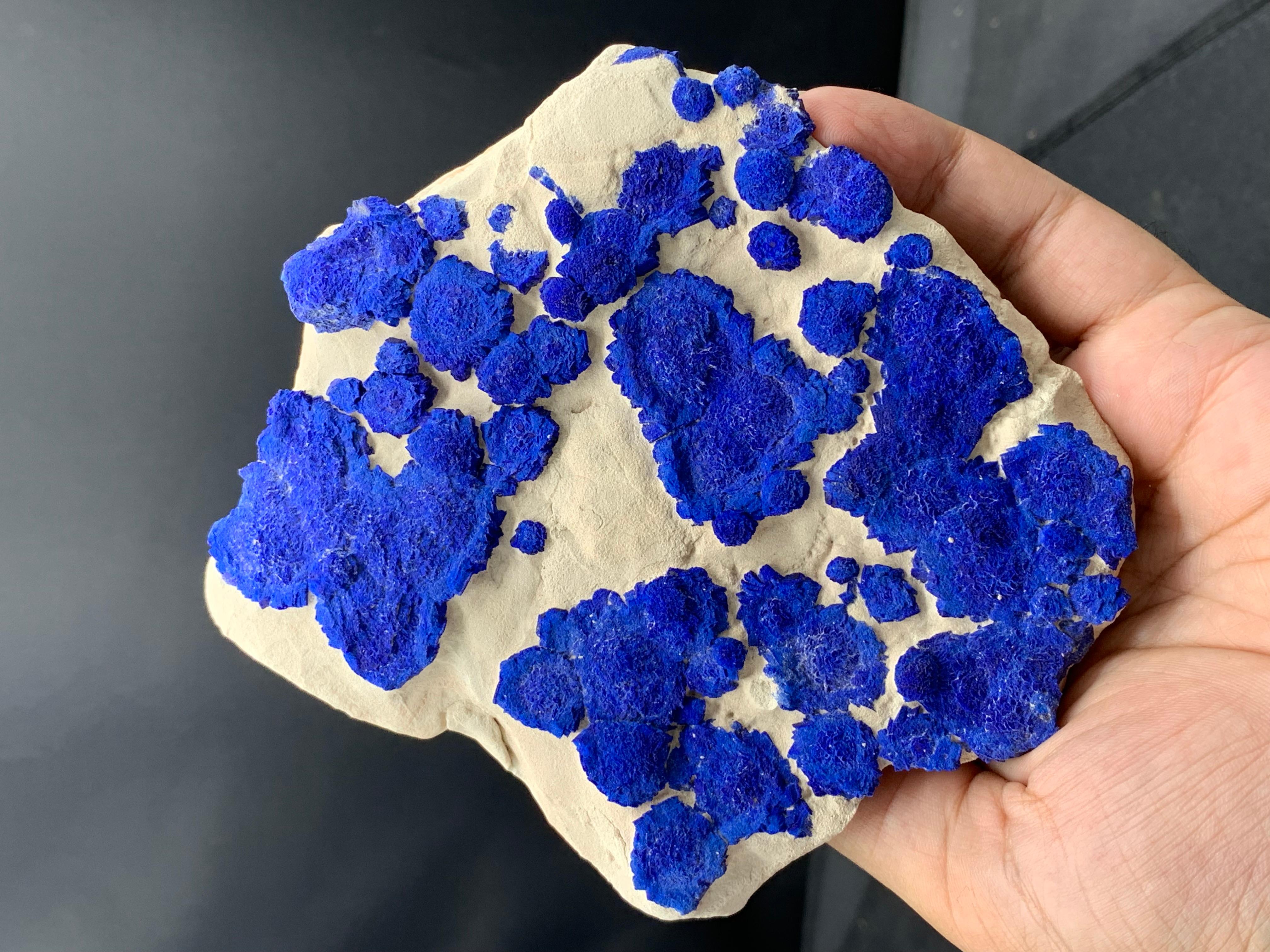 Specimen: Azurite sun crystals on Kaolinite matrix
Weight: 547 grams
Dimensions: H: 13.3 x W: 12.5 x D: 4 cm
Locality: Malbunka Copper Mine, Western Aranda County, Australia
Treatment: None
.
