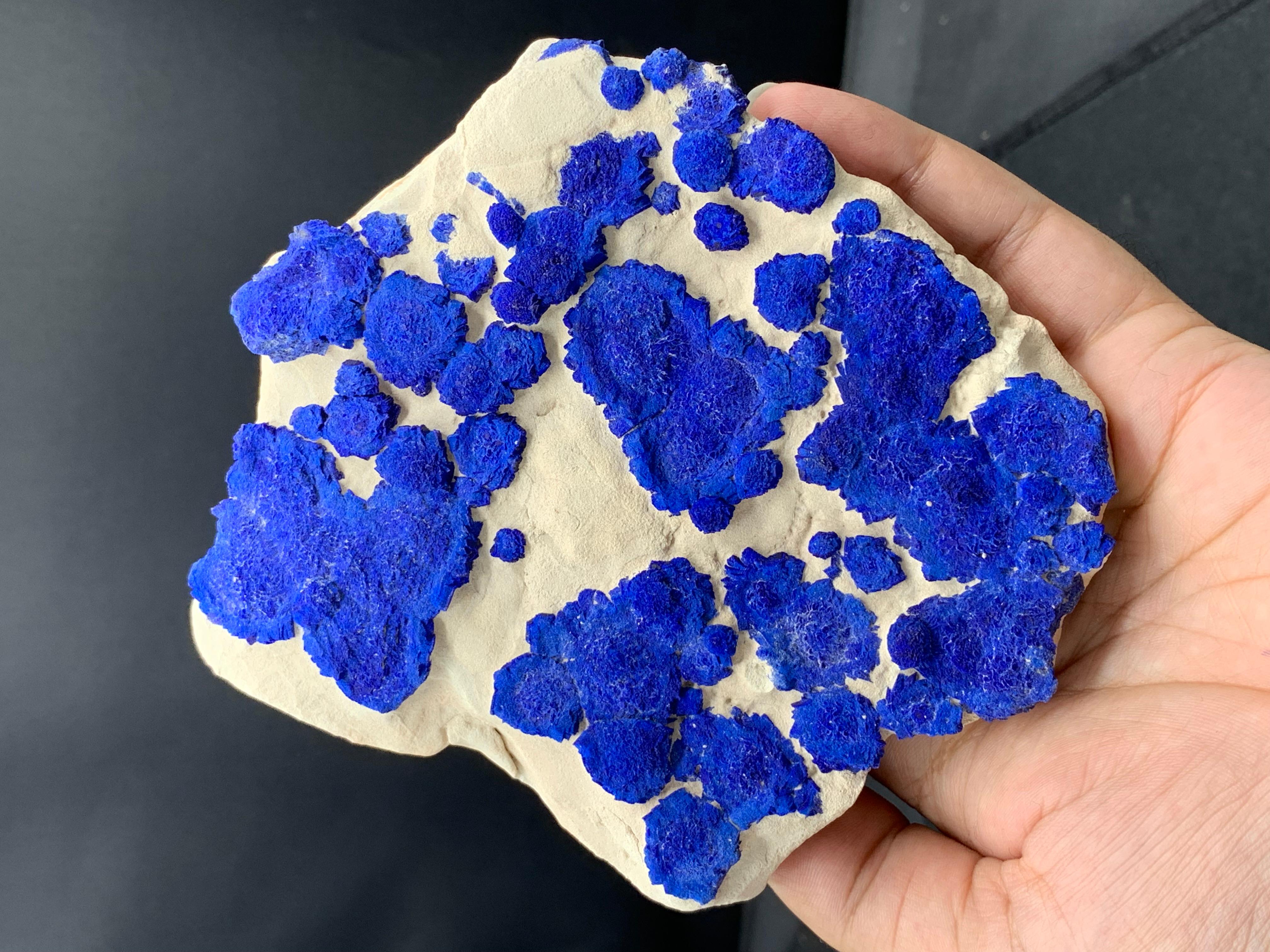 Australian Azure Blue Rosettes Of Azurite Sun Crystals On Kaolinite Matrix From Australia For Sale
