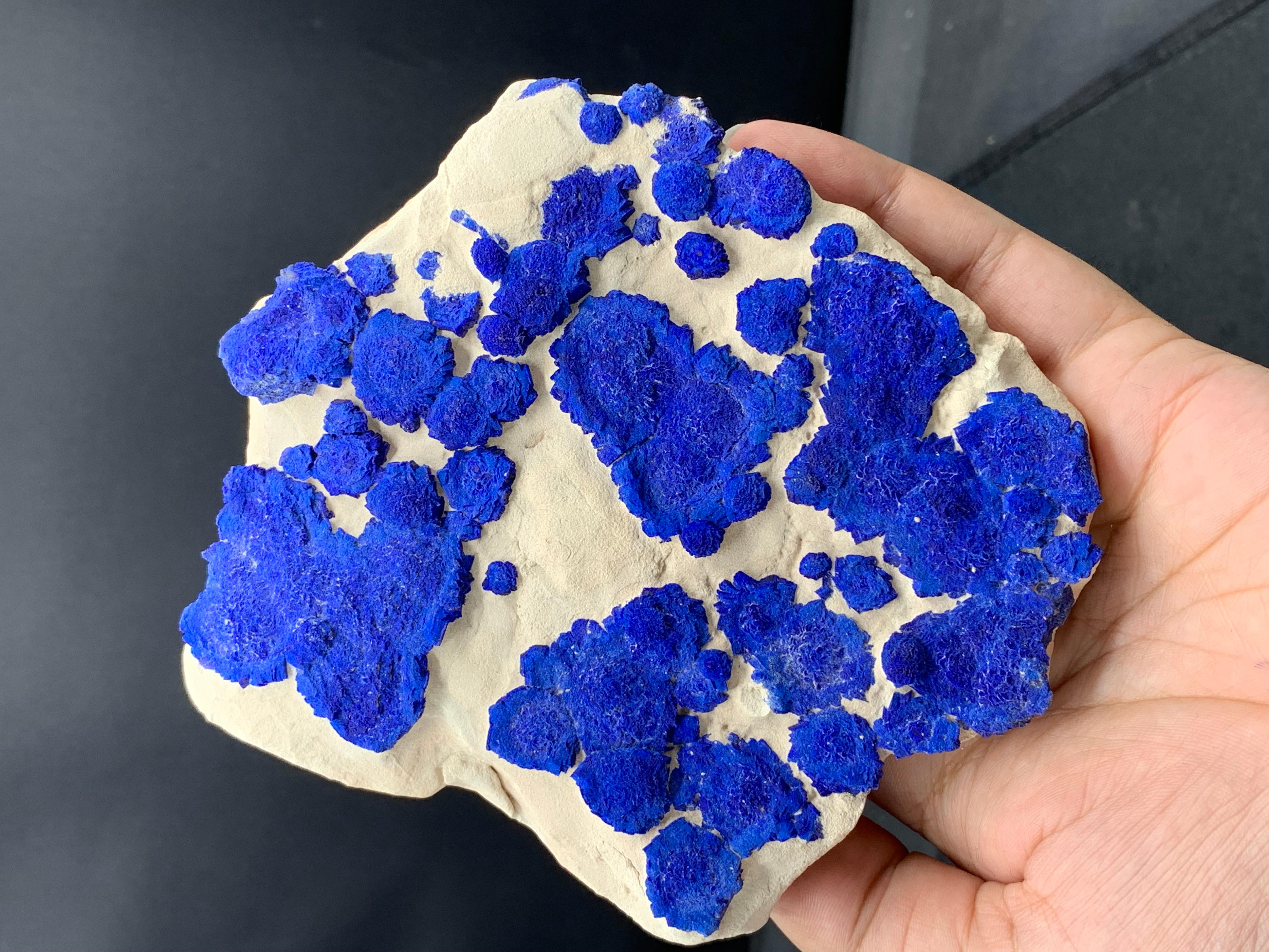 Azure Blue Rosettes Of Azurite Sun Crystals On Kaolinite Matrix From Australia In Good Condition For Sale In Peshawar, PK