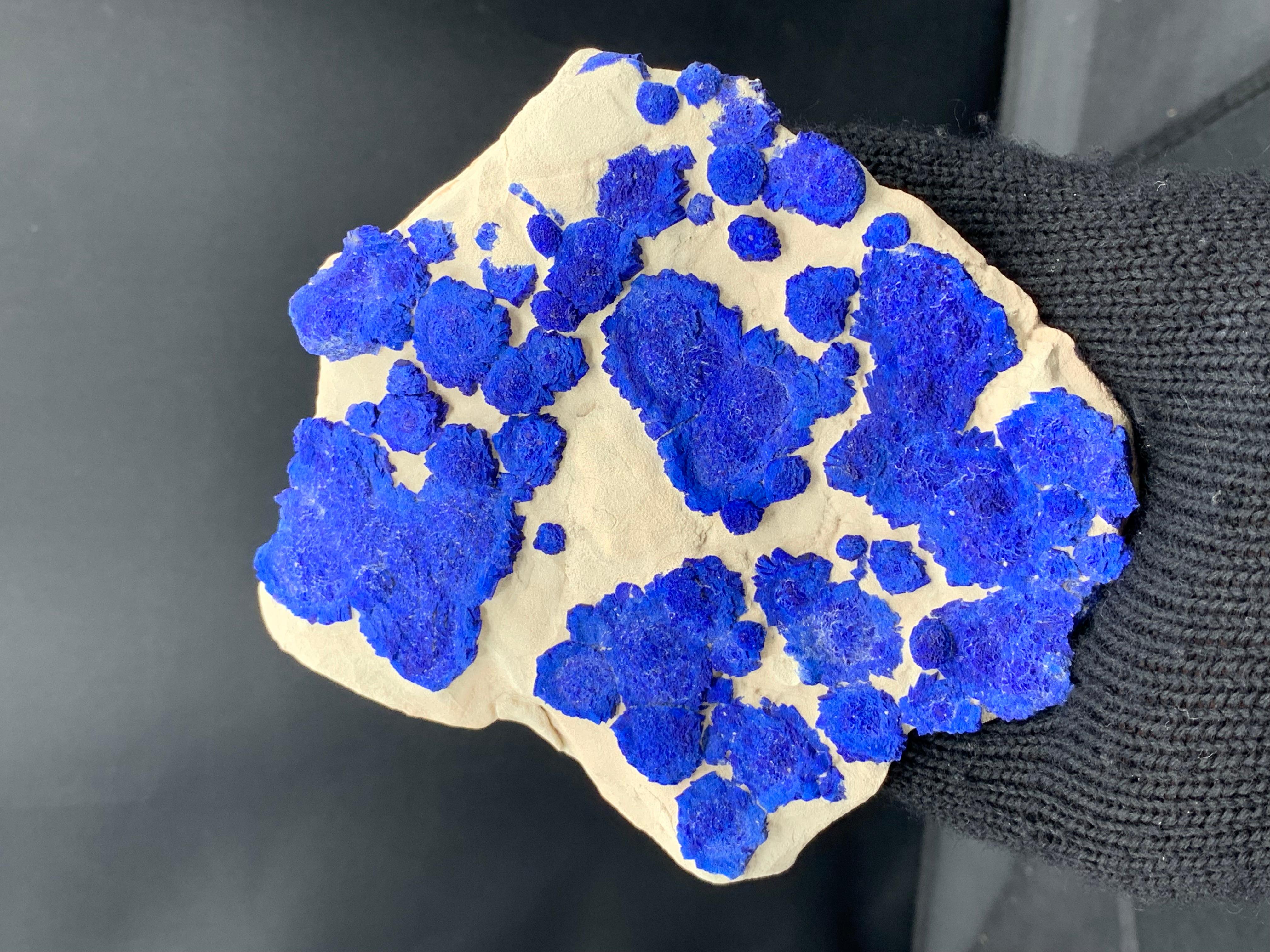 Contemporary Azure Blue Rosettes Of Azurite Sun Crystals On Kaolinite Matrix From Australia For Sale