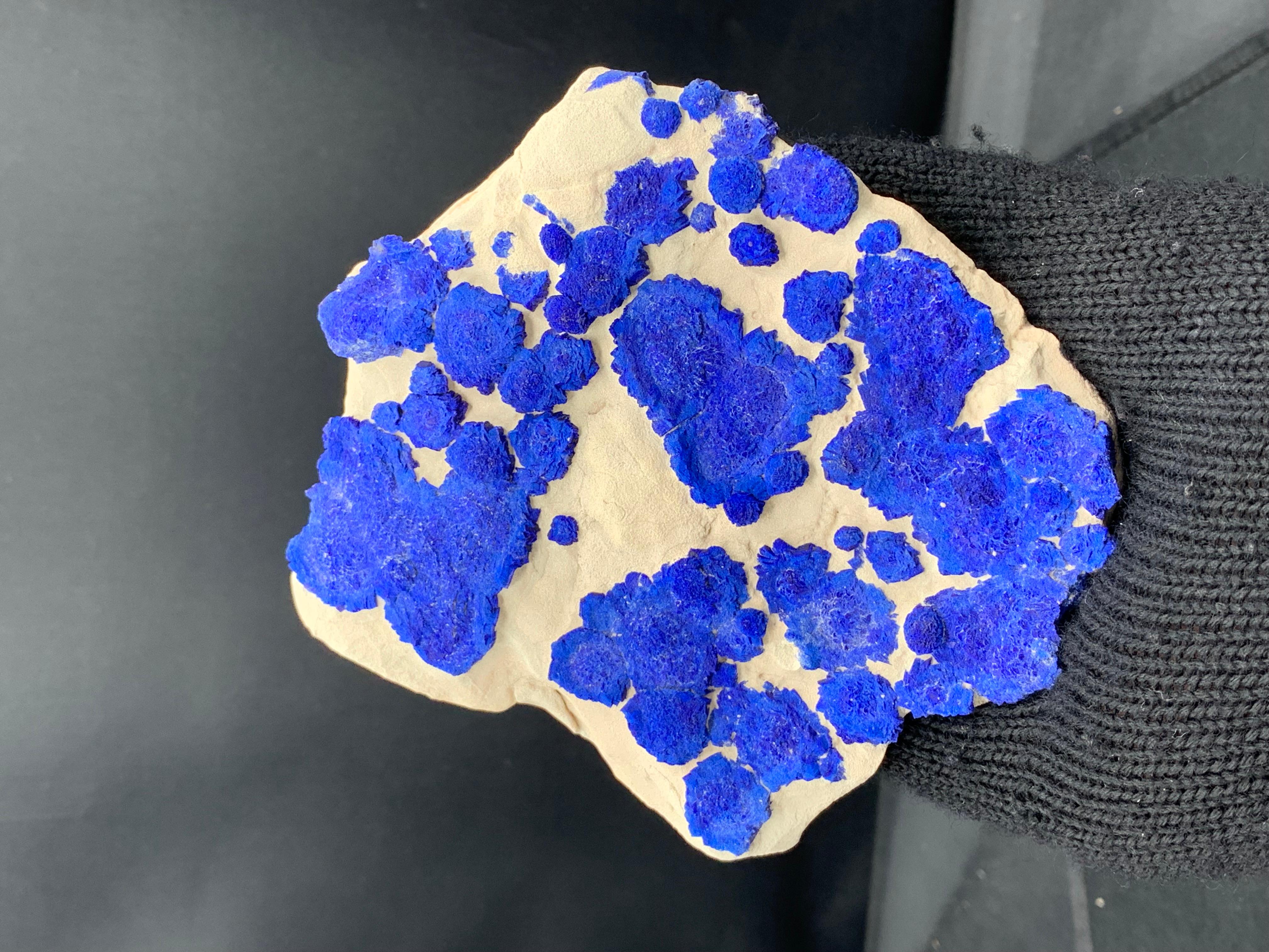 Rock Crystal Azure Blue Rosettes Of Azurite Sun Crystals On Kaolinite Matrix From Australia For Sale