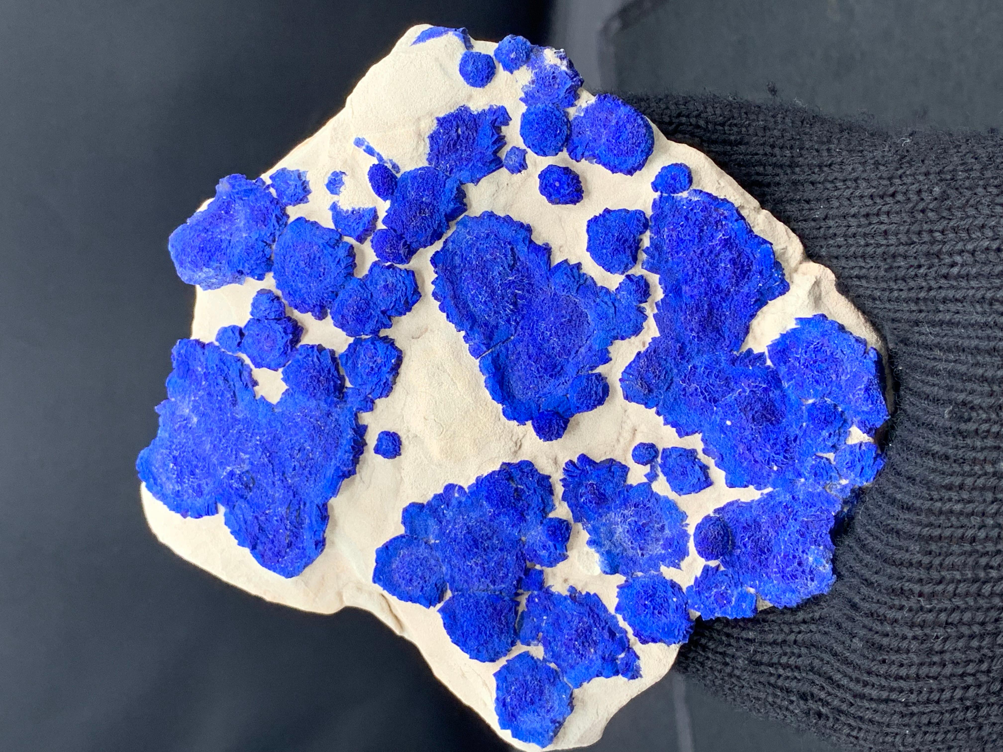 Azure Blue Rosettes Of Azurite Sun Crystals On Kaolinite Matrix From Australia For Sale 1