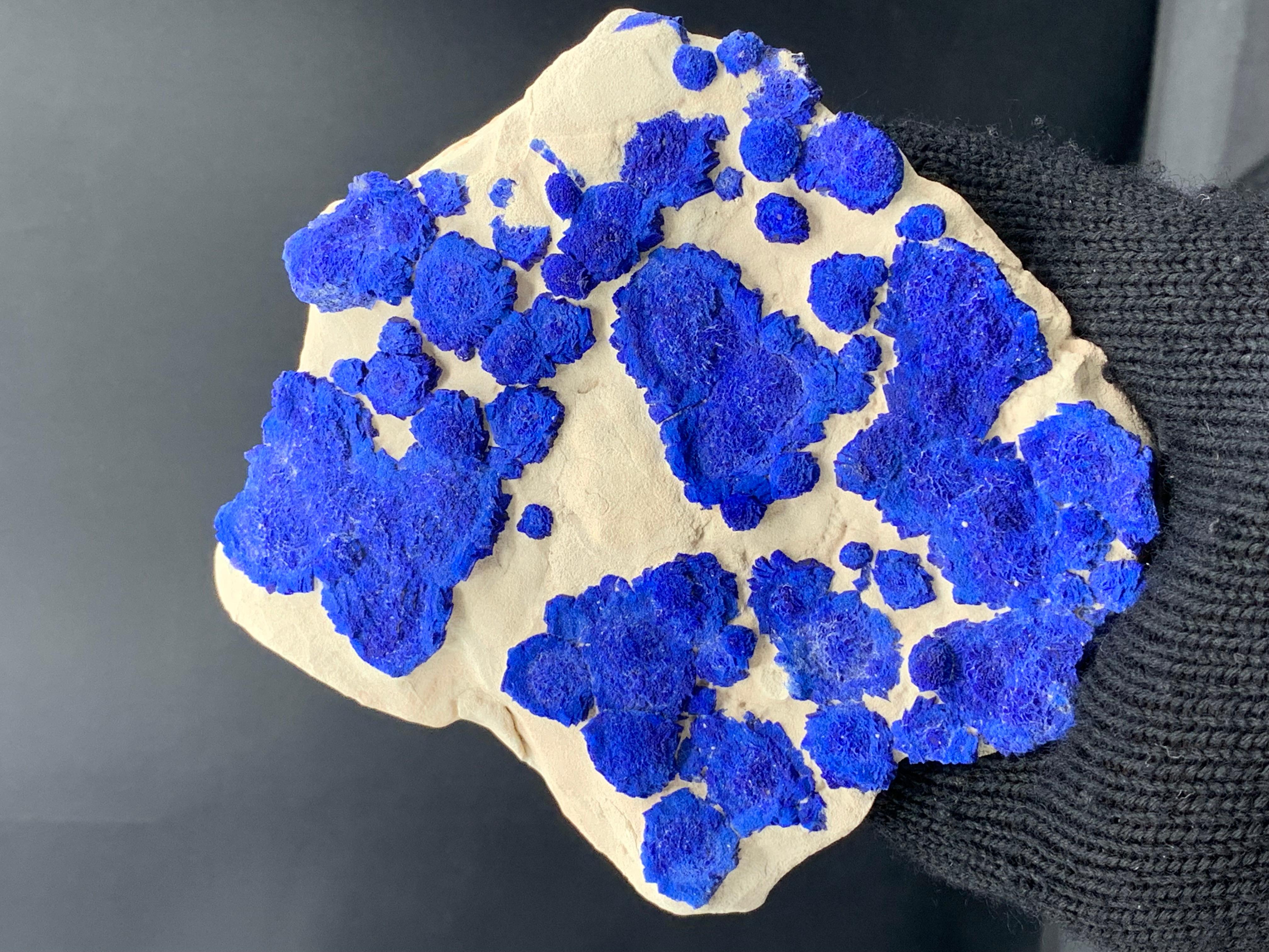 Azure Blue Rosettes Of Azurite Sun Crystals On Kaolinite Matrix From Australia For Sale 2