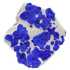 Rosette azzurre di cristalli di azurite solare su matrice di caolinite dall'Australia