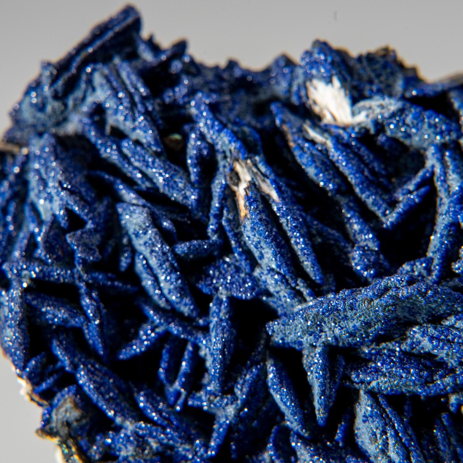 From Ahouli Mines, Aouli, 7 km northeast of Mibladen, Zeida-Aouli-Mibladen belt, Midelt Province, Morocco

Rich specimen of bright-blue lustrous azurite crystals on powdery green malachite microcrystals. The azurite is internally transparent making