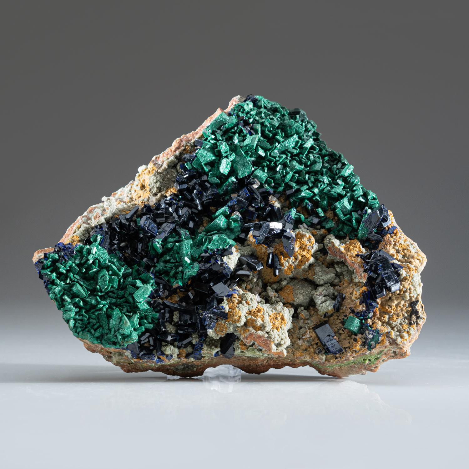 Azurite et malachite de la mine de Tsumeb, district d'Otavi-Bergland, Oshikoto, Namibie.

Riche amas de cristaux d'azurite bleu foncé lustrés sur une matrice de malachite-duftite-calcite. Tous les cristaux d'azurite sont très brillants et présentent