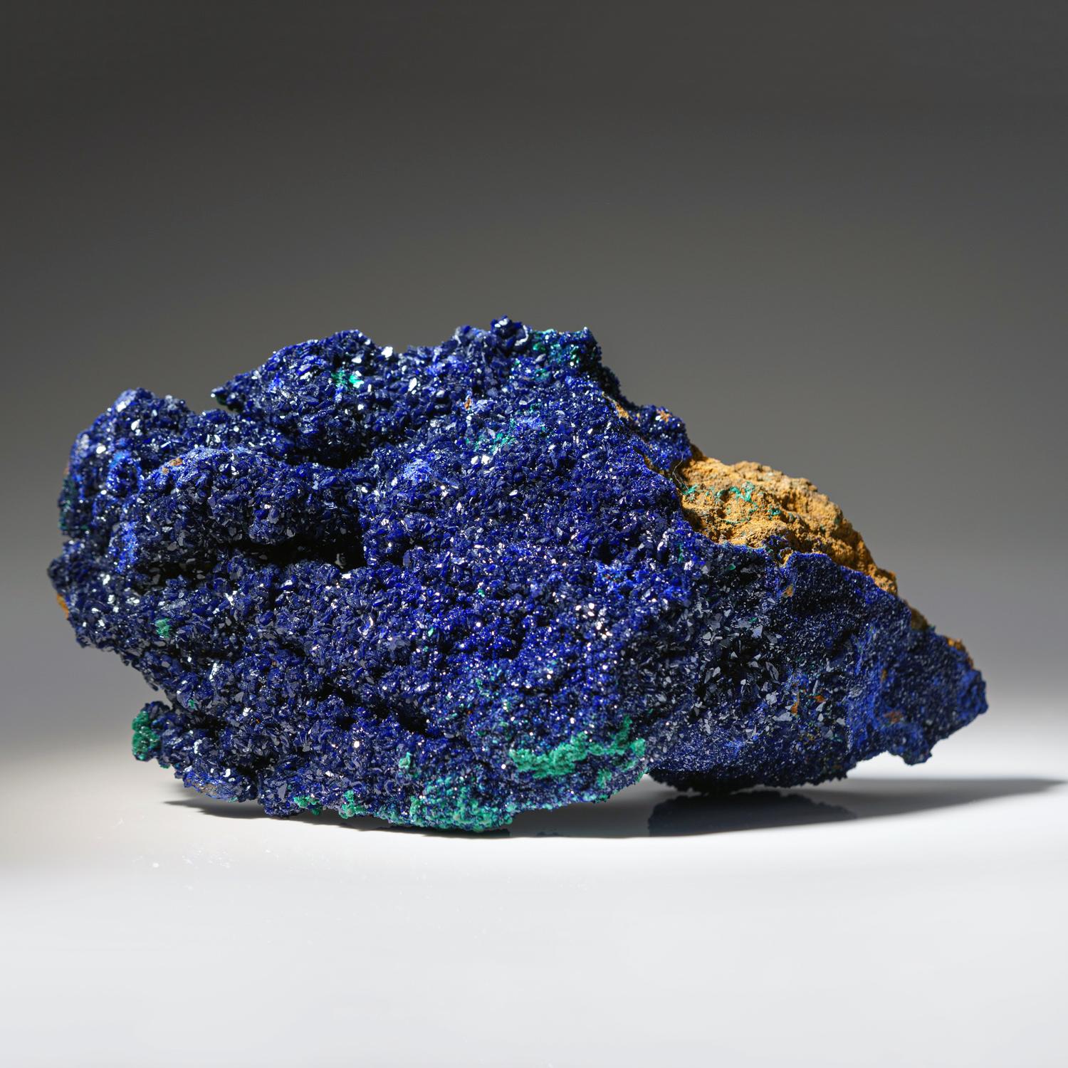 Aus der Tsumeb-Mine, Otavi-Bergland Distrikt, Oshikoto, Namibia

Reichhaltige Ansammlung von tief königsblauen Azuritkristallen auf Malachit-Duftit-Calcit-Matrix. Alle Azuritkristalle sind hochglänzend und weisen eine komplexe Kristallentwicklung