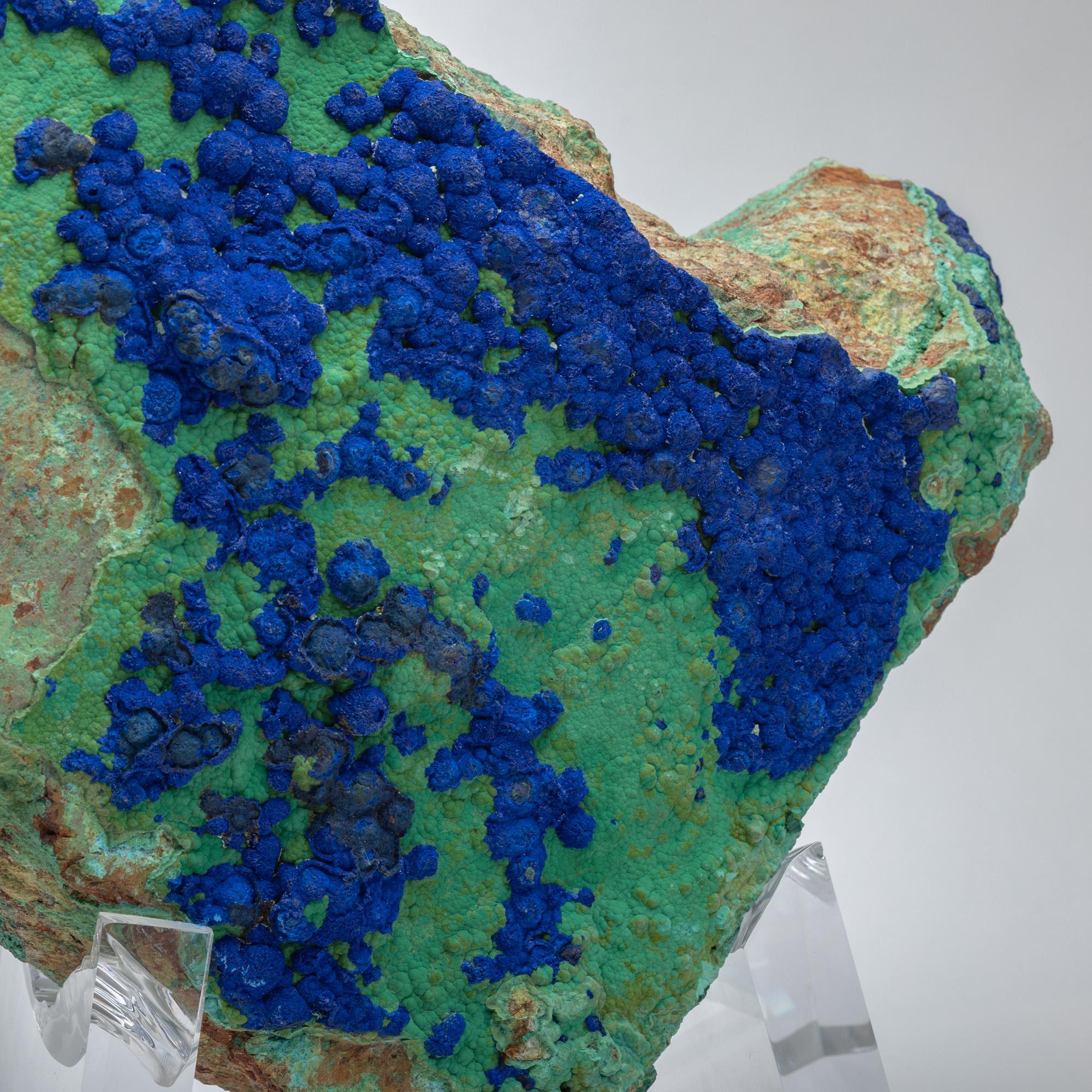Azurite and Malachite Specimen from Arizona Mounted on Custom Acrylic Stand For Sale 1