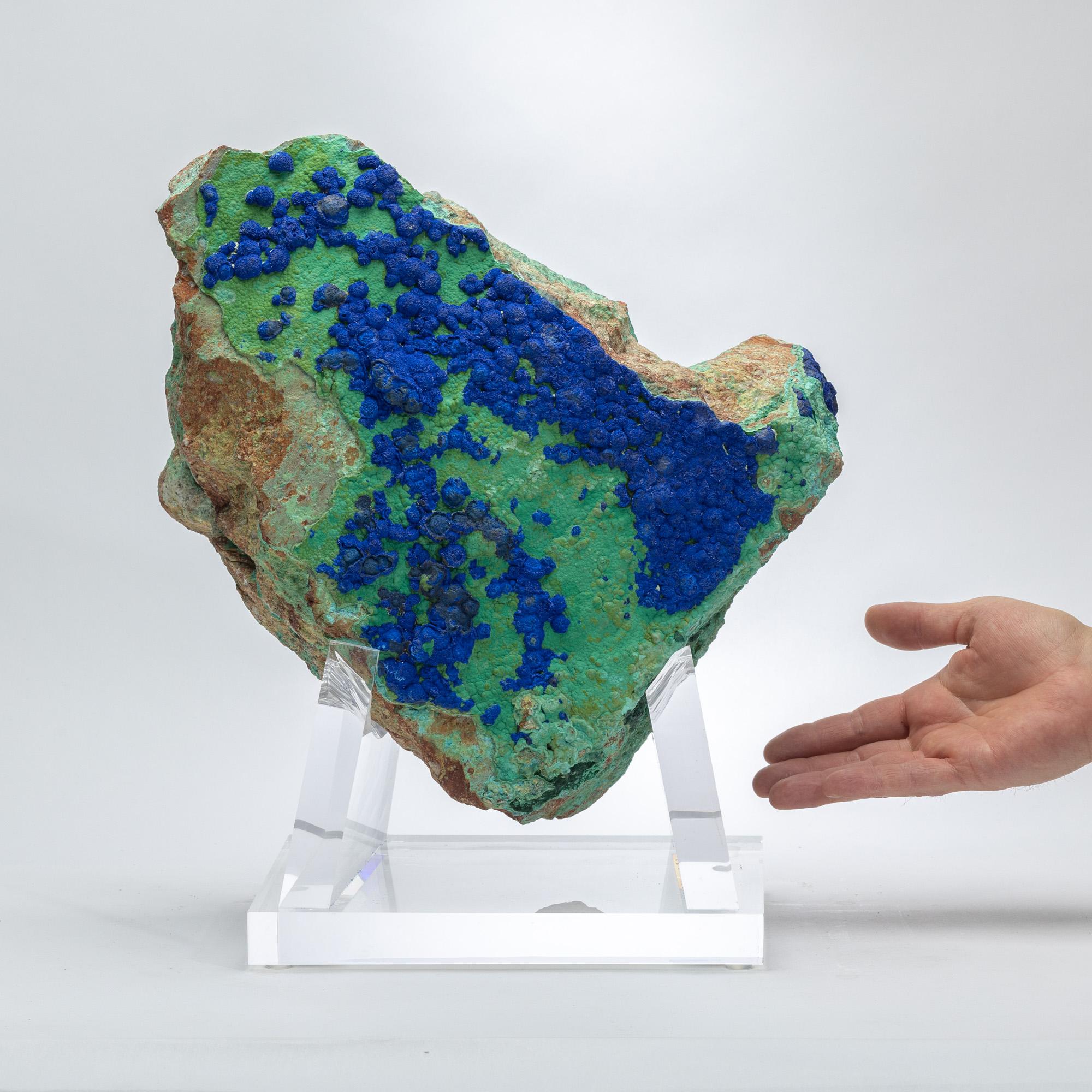 Azurite and Malachite Specimen from Arizona Mounted on Custom Acrylic Stand For Sale 2