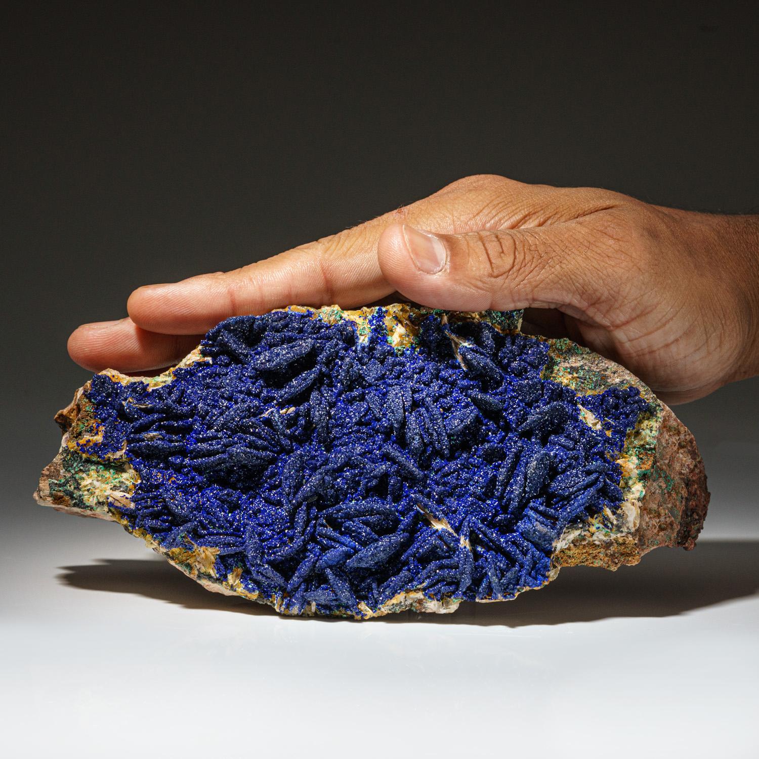From Ahouli Mines, Aouli, 7 km northeast of Mibladen, Zeida-Aouli-Mibladen belt, Midelt Province, Morocco

Sparkling blue azurite microcrystals with areas of green malachite covering front and rear of massive azurite matrix.


Weight: 460.8 grams,