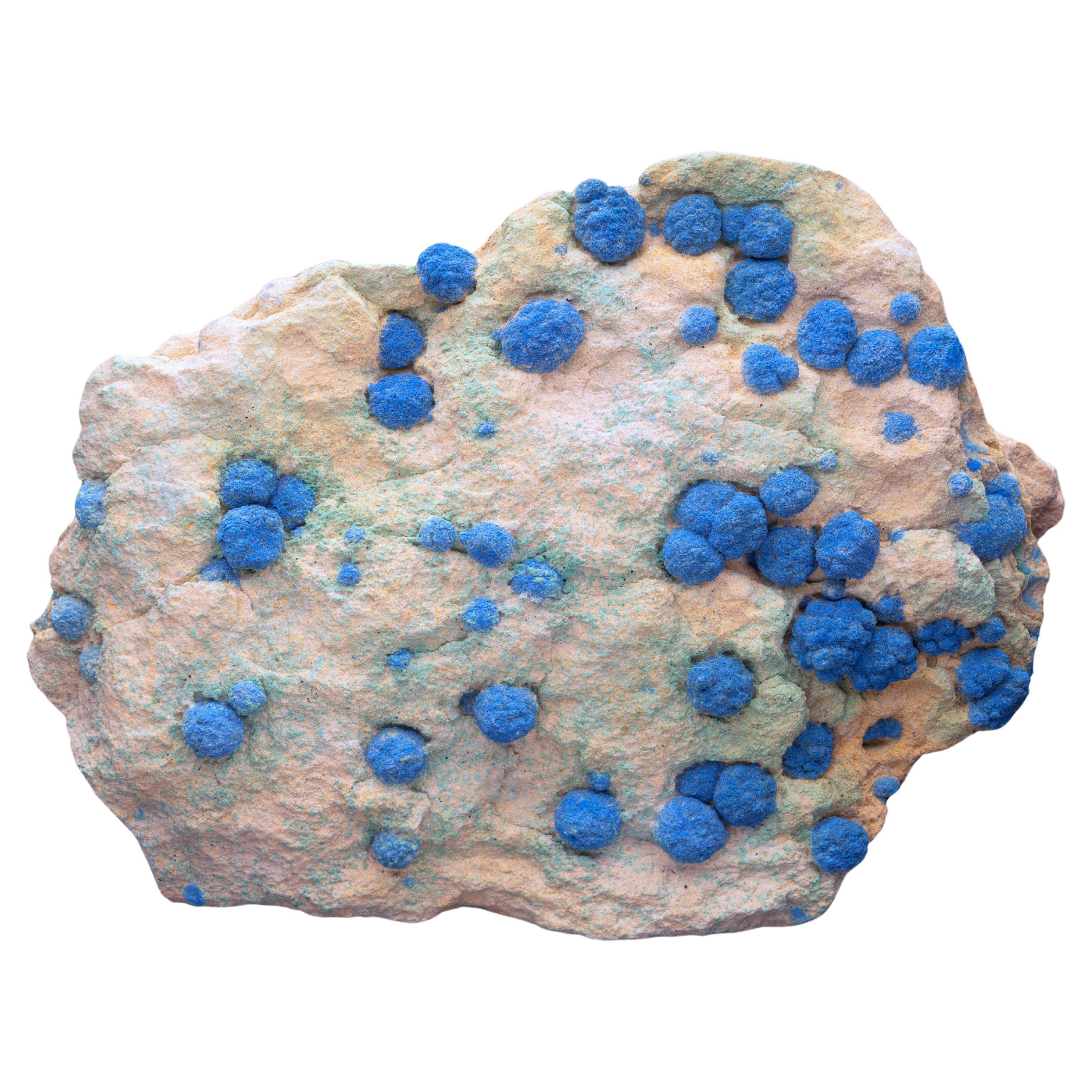 Azurite on Malachite From Utah For Sale