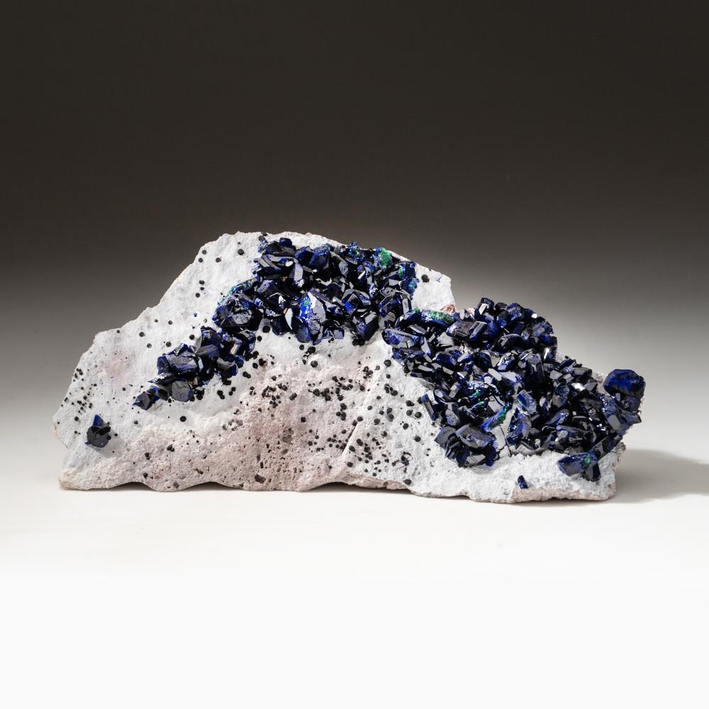 De la mina Milpillas, Cuitaca, Sonora, México

Este espécimen tiene brillantes cristales de azurita en forma de cuña de color azul intenso que cubren parcialmente una de las caras de su matriz blanca rica en arcilla. Hay varios cristales aislados