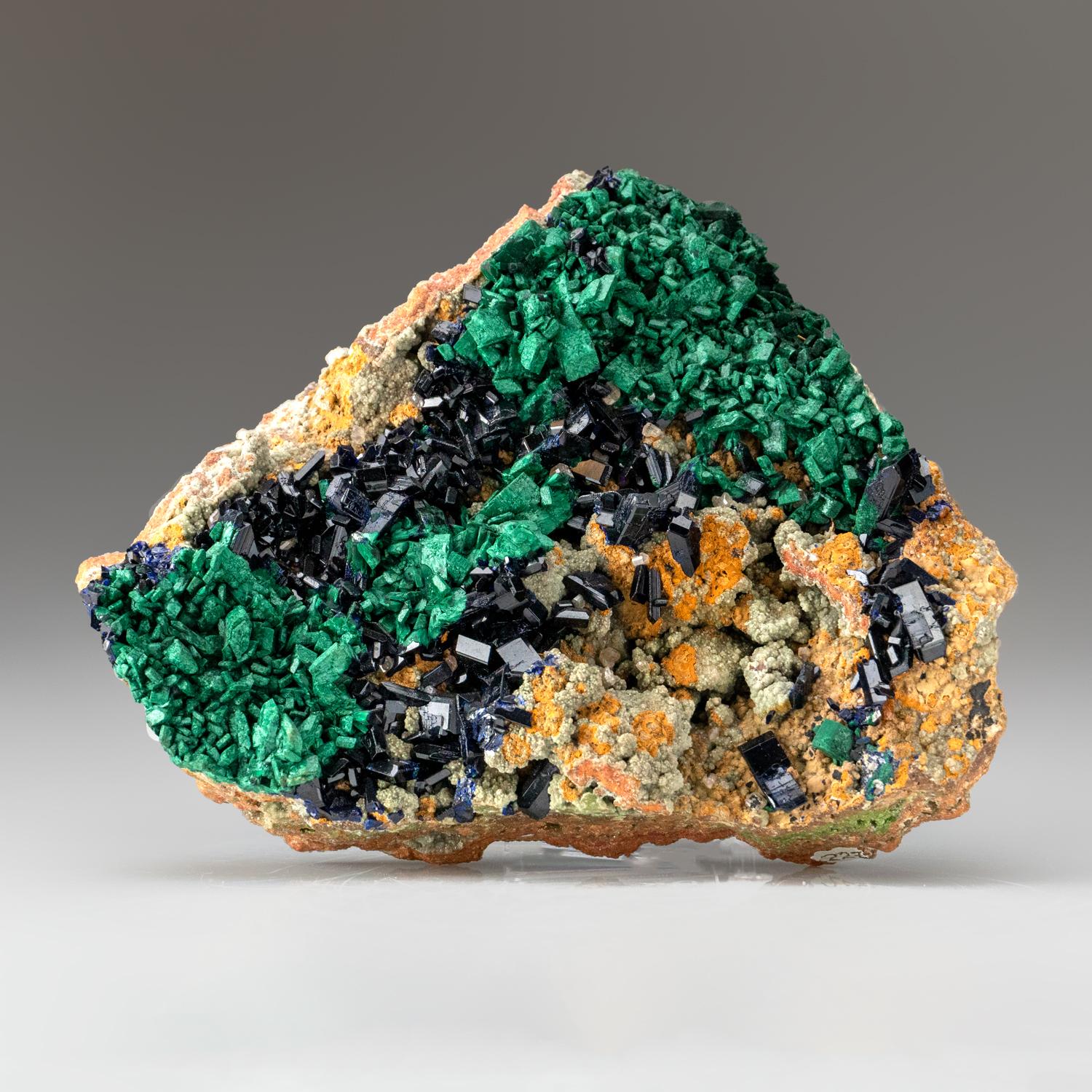 World class specimen of lustrous royal blue azurite crystals with sharp bladed terminations . There are several isolated areas exhibiting fibrous malachite psuedomorph after azurite.

This specimen was once part of the Joseph Freilich collection,