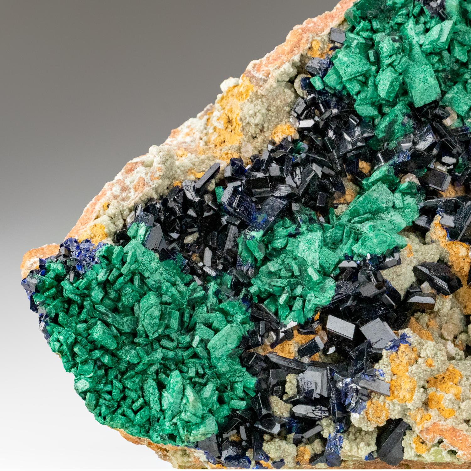 Azurite with Malachite from Otavi-Bergland District, Oshikoto, Namiba In Excellent Condition In New York, NY
