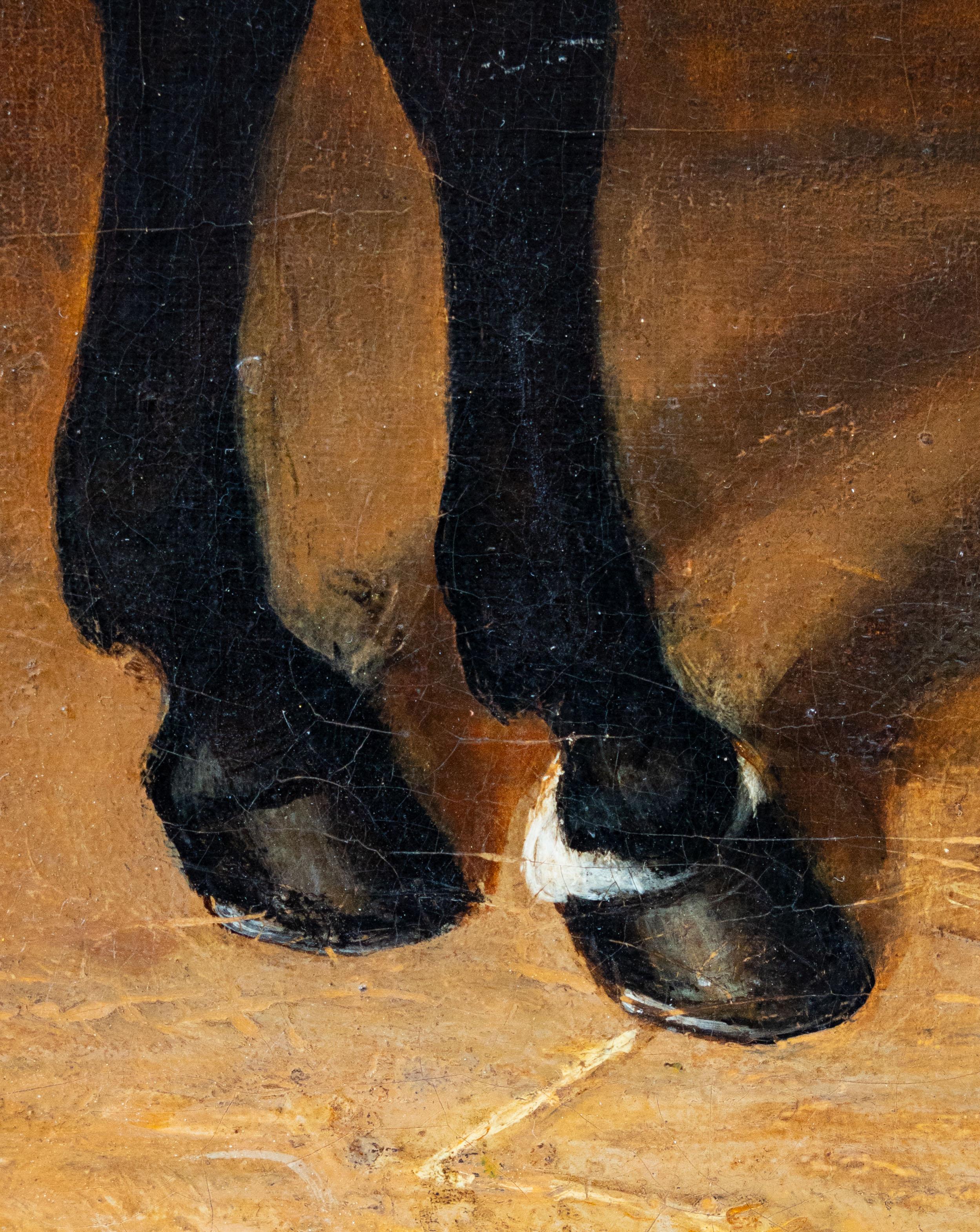 Dunkelbraunes Pferd an einer Steinmauer (Braun), Animal Painting, von B. A. Howe