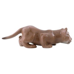 B & G / Bing & Grondahl, Lion cub in porcelain.