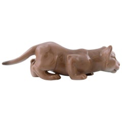 B
G / Bing
Grondahl - Lion Cub - Number 2529 B
G / Bing
Grondahl - Lion Cub - Number 2529