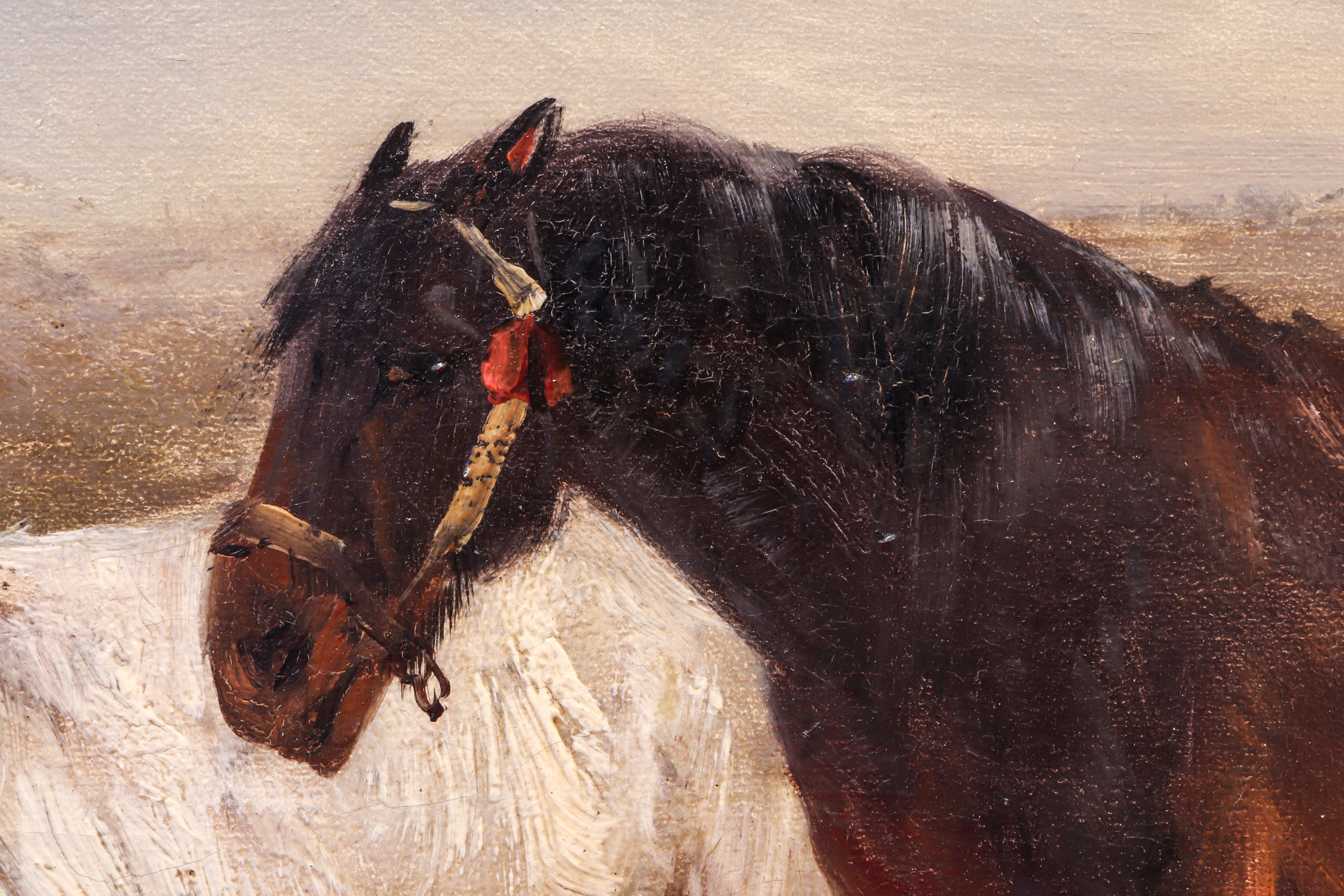 Oiled B Horses in a Field, Late 19th Century, Oil on Canvas, Henry Shouten
