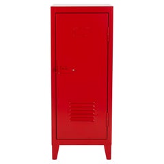 B1 Low Locker in Essential Colors by Xavier Pauchard and Tolix