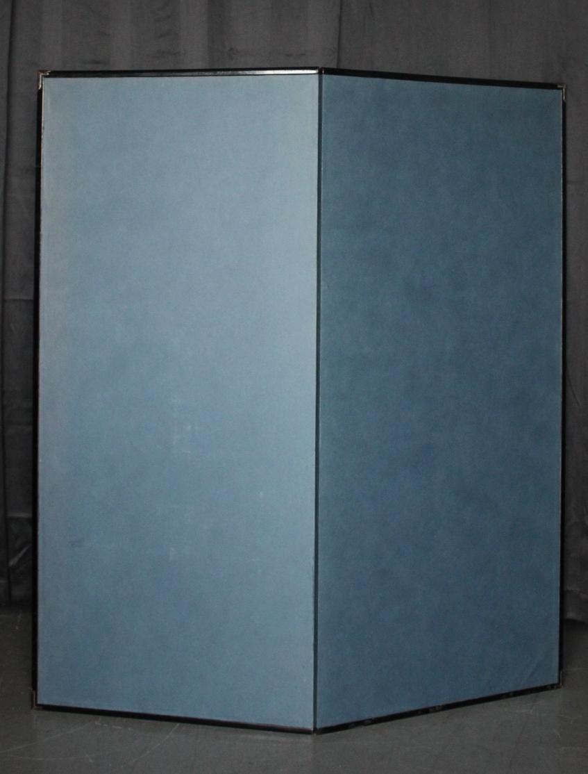 B13 Japanese Antiques 2panels, silk, folding Screen with Tiger For Sale 8