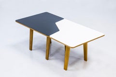 "B14" Multi Table by Cees Braakman for Pastoe, Netherlands, 1950s
