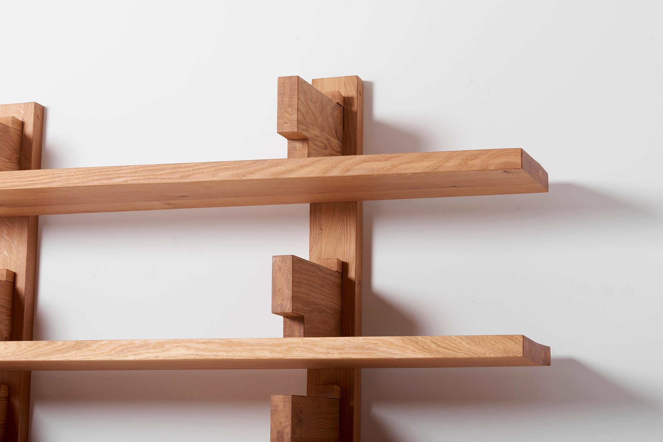 French B17 Bibliothèque Wall Unit Shelve by Pierre Chapo in Oak, France