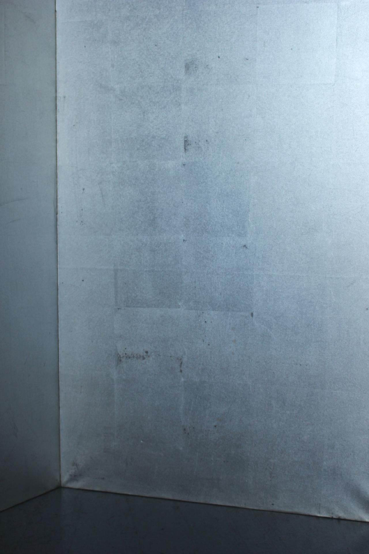 B70 Antiguos 6 paneles japoneses, Papel de plata, Pantalla plegable, sin marco en venta 6