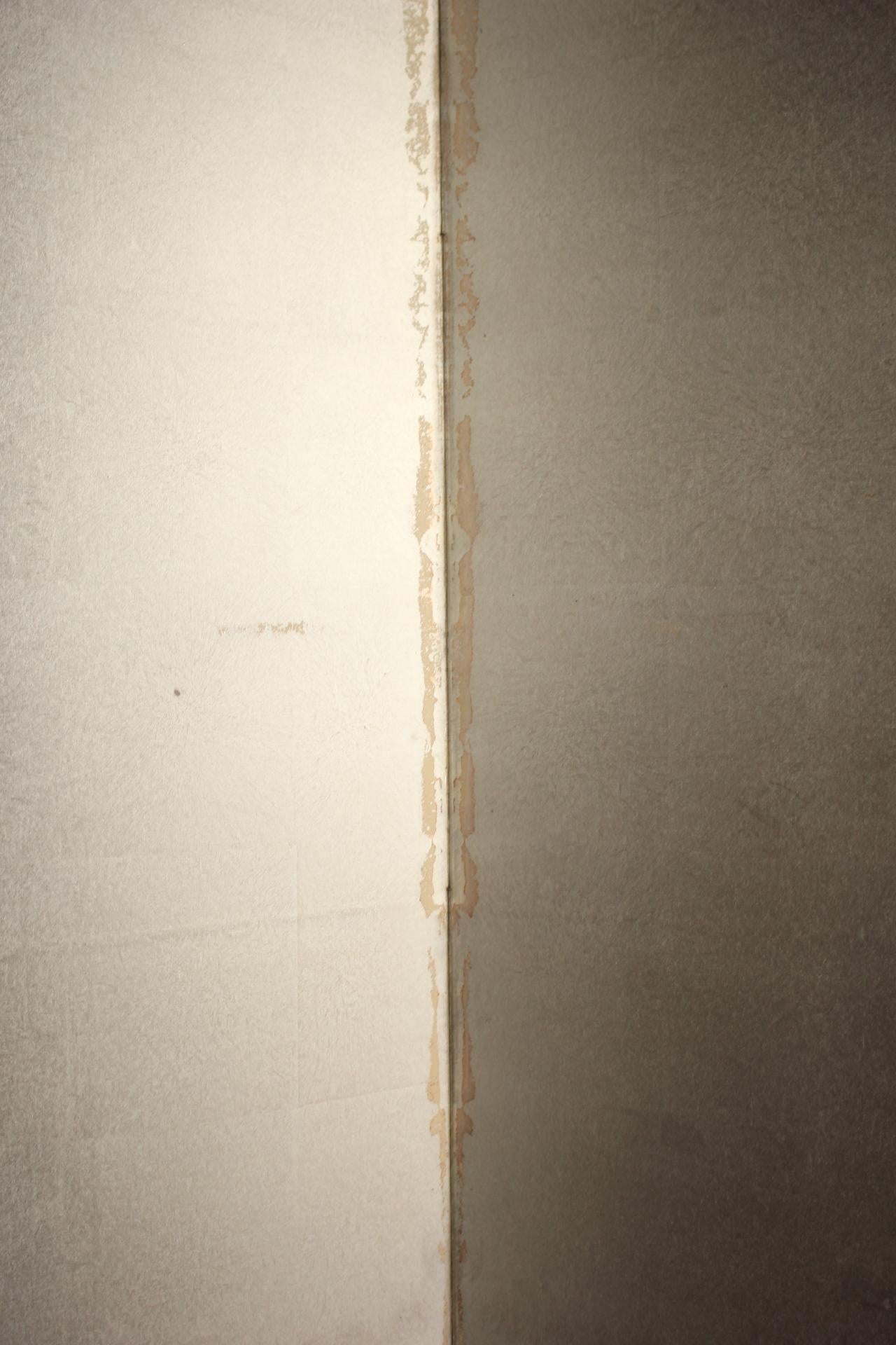 B73 Altjapanisch 6Tafeln, Silberpapier, Foldescreen, rot umrandet im Angebot 3