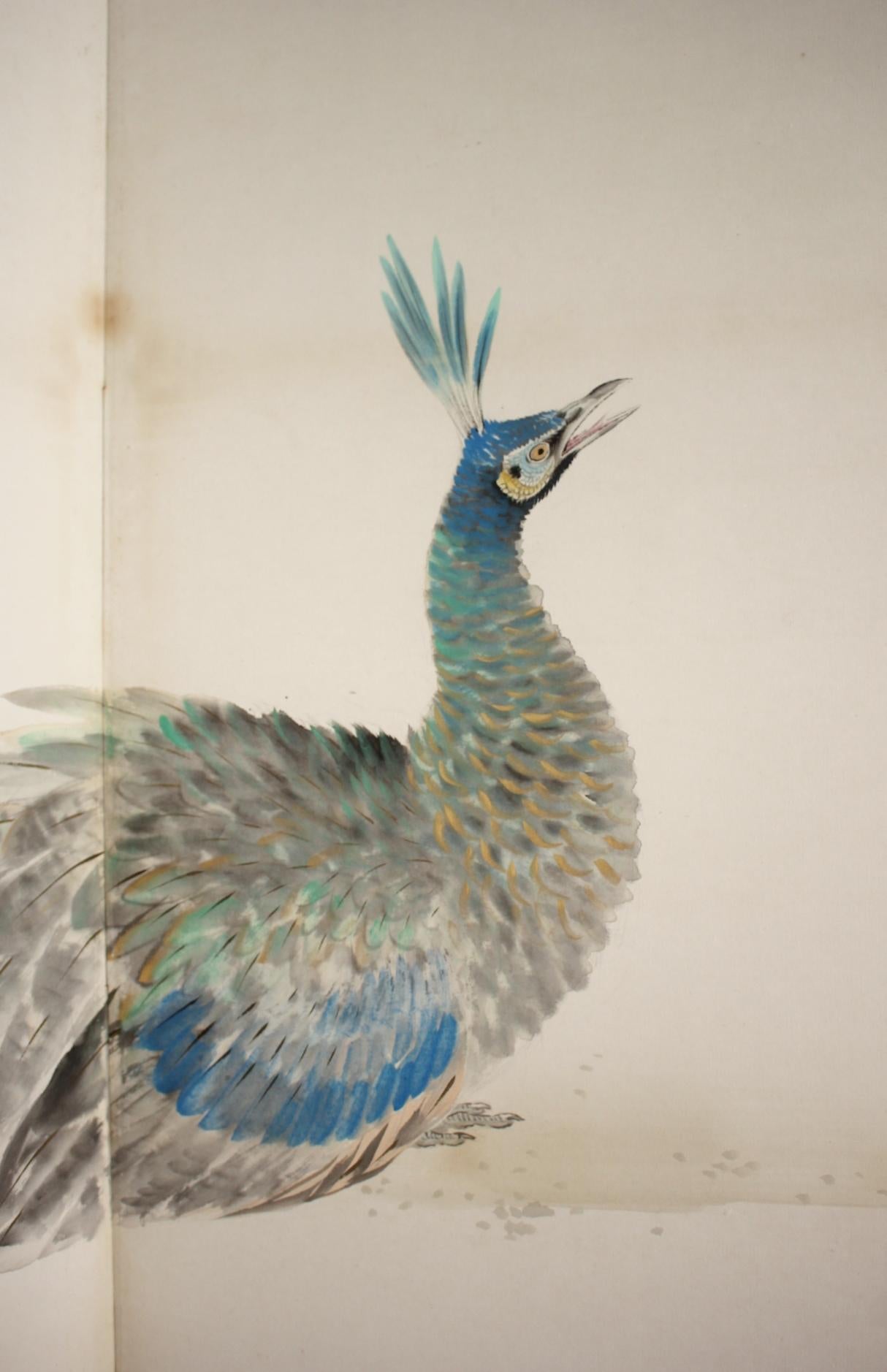 B76 Japanische Antiquitäten 6Paneele, Weiße Pflaumenblüten und Pfau, Faltwand im Angebot 5