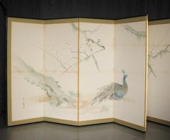 B76 Japanese Antiques 6panels, White Plum Blossoms and Peacock, folding Screen