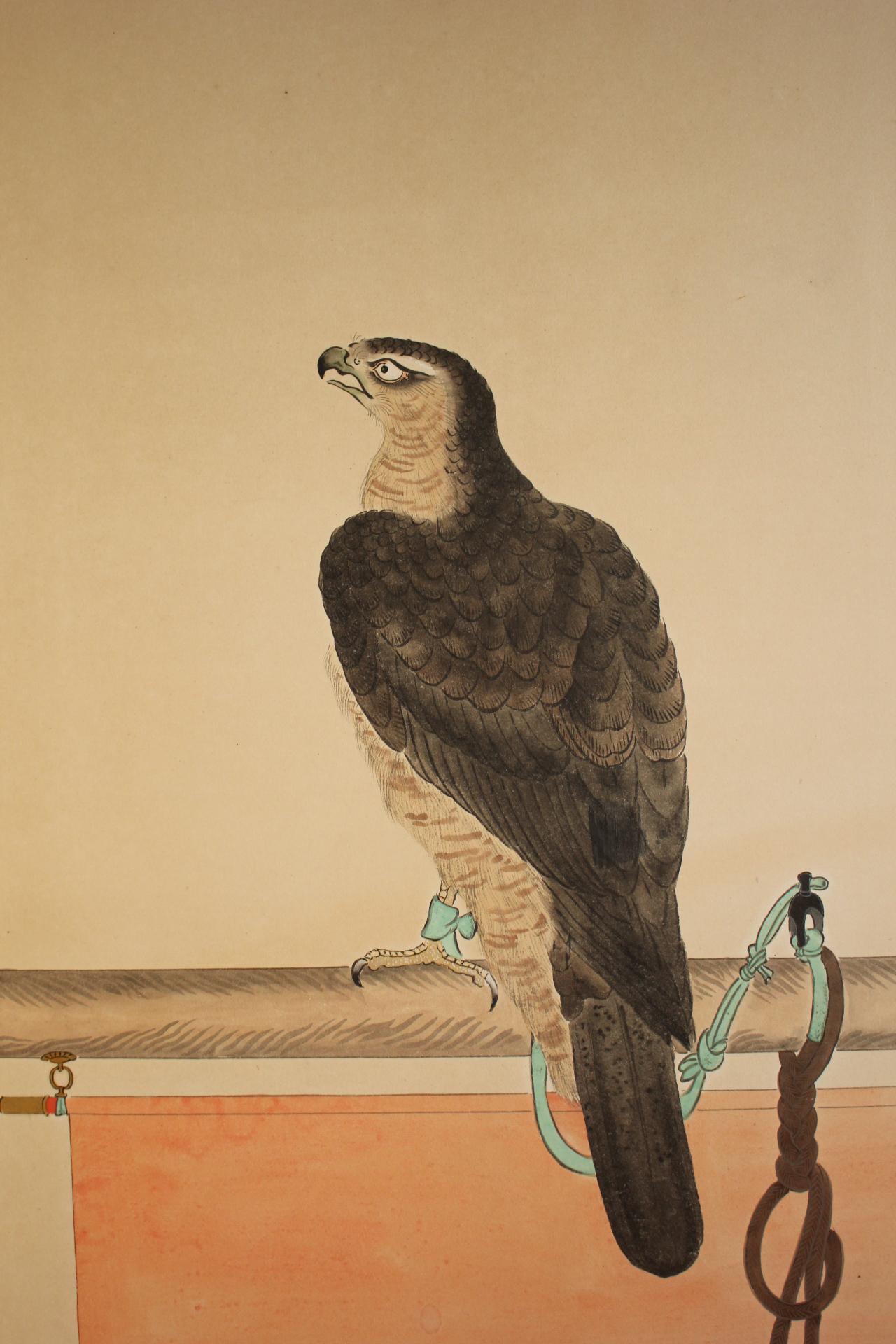 B77 Antiguo biombo japonés de 6 paneles, Halconero en venta 2