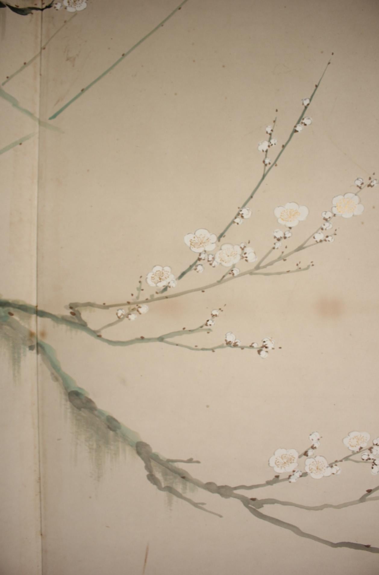 B78 Antigüedades Japonesas 6paneles, Flores de Ciruelo Blancas y Pavo Real, Biombo plegable Papel en venta