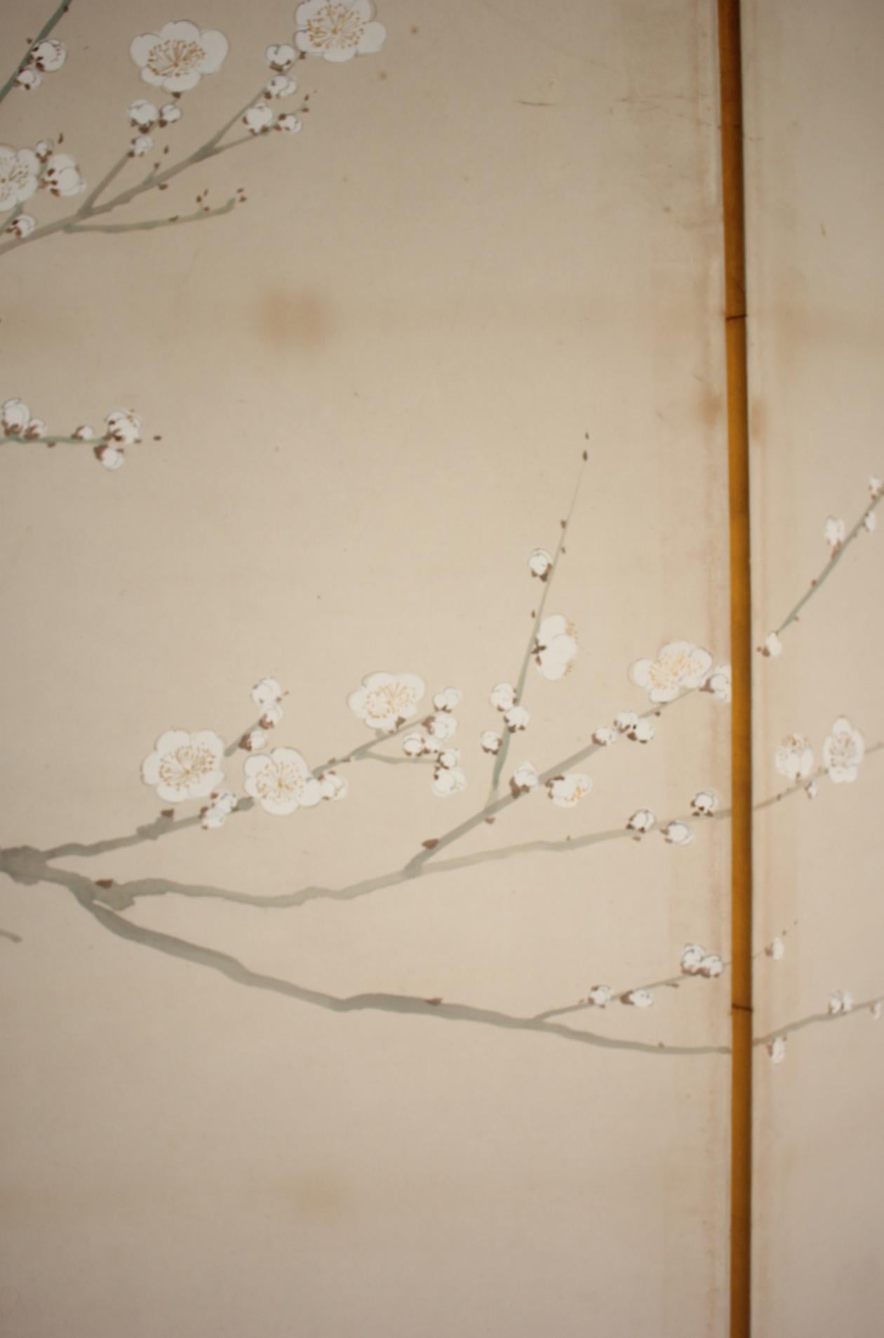 B78 Antigüedades Japonesas 6paneles, Flores de Ciruelo Blancas y Pavo Real, Biombo plegable en venta 1