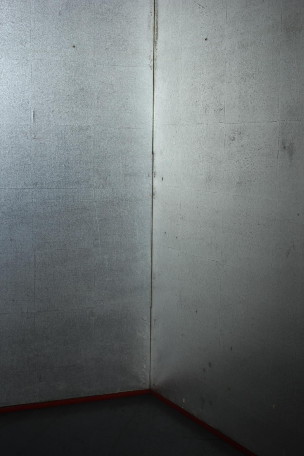 B85 Old Japanese 6panels, Silver Paper, folding Screen, red remmed im Angebot 4