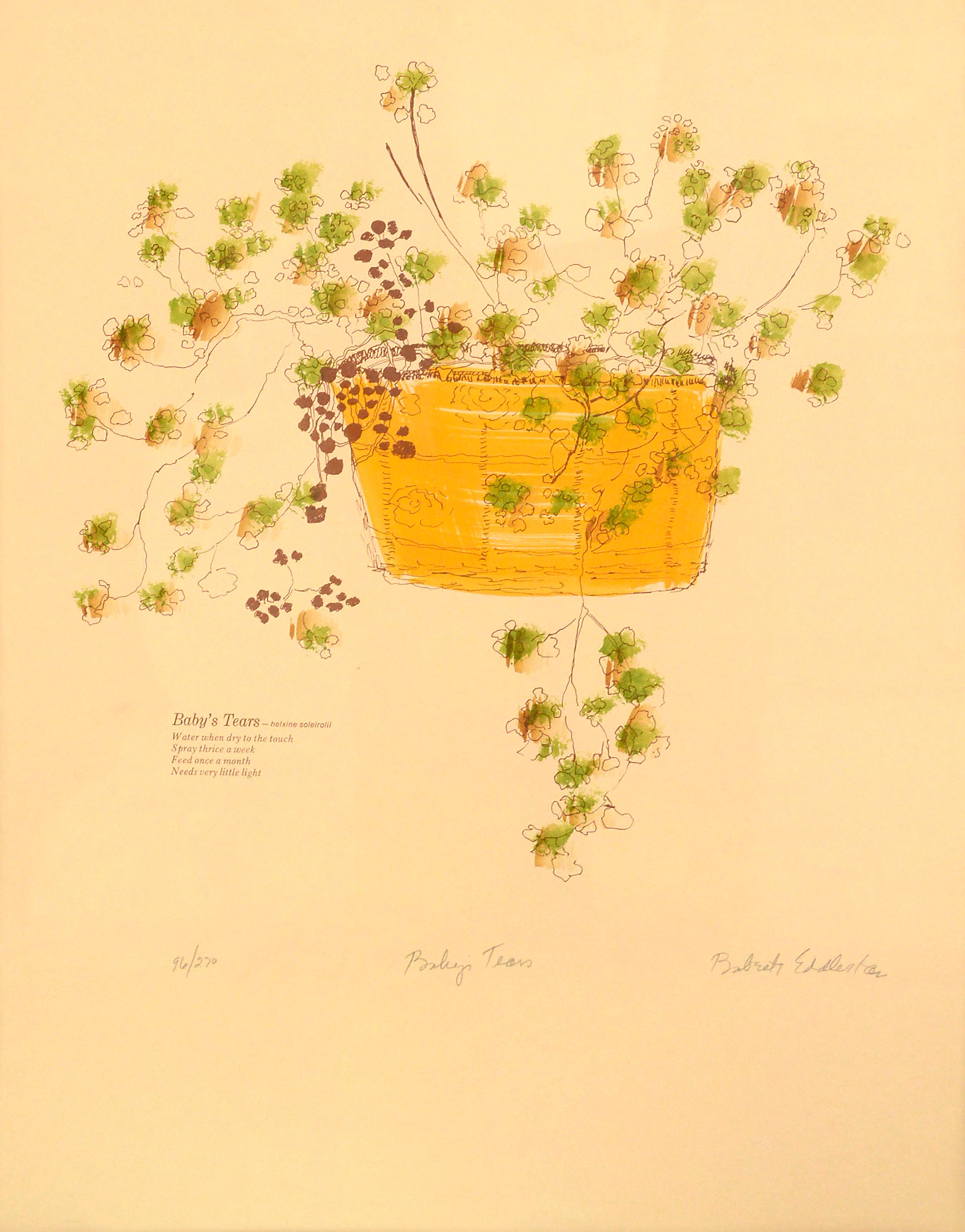 « Baby's Tears », sérigraphie botanique créée à la main dans les années 1970, 96/270 - Print de Babette Eddleston